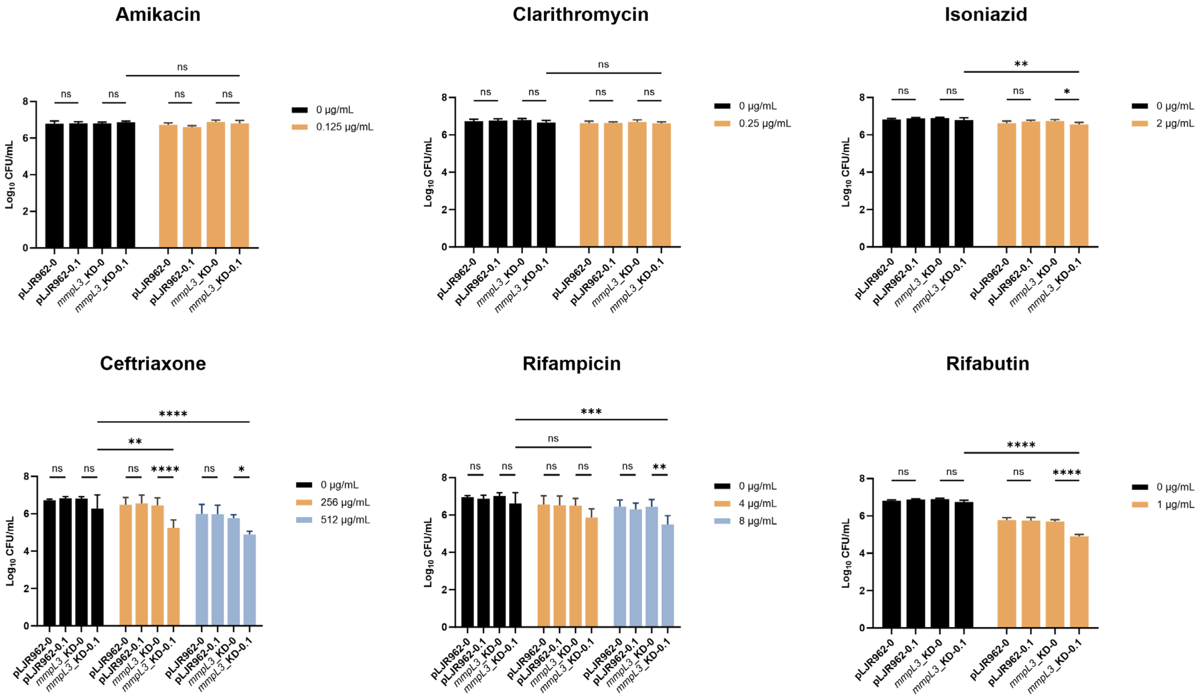 Antibiotics 13 00483 g004