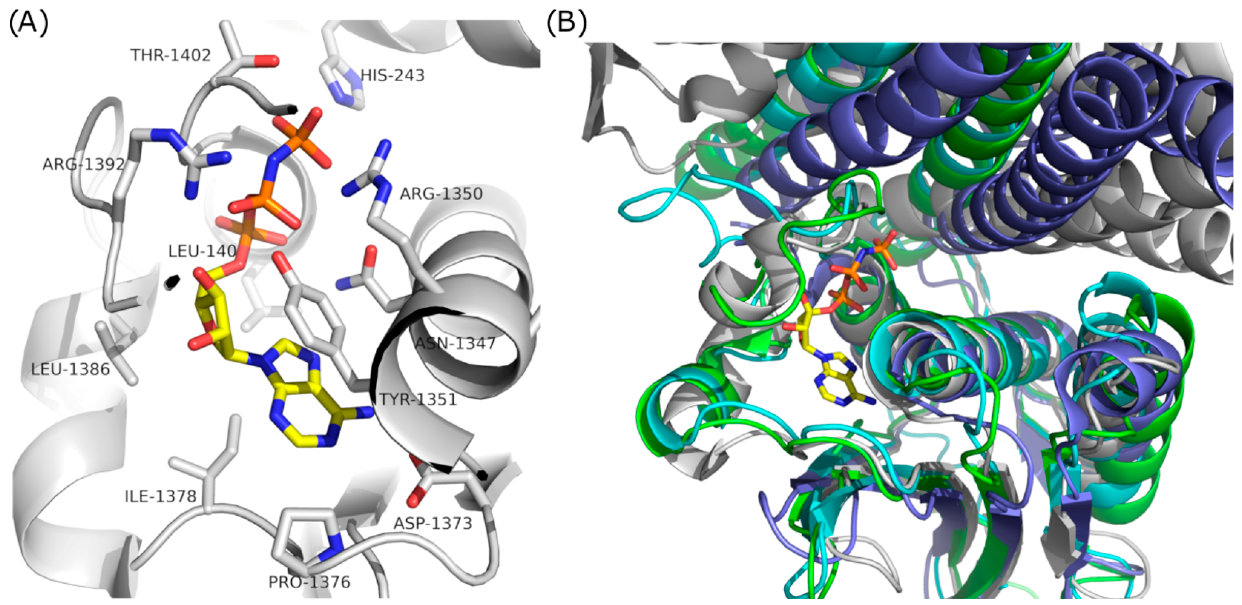 Antibiotics 13 00499 g003