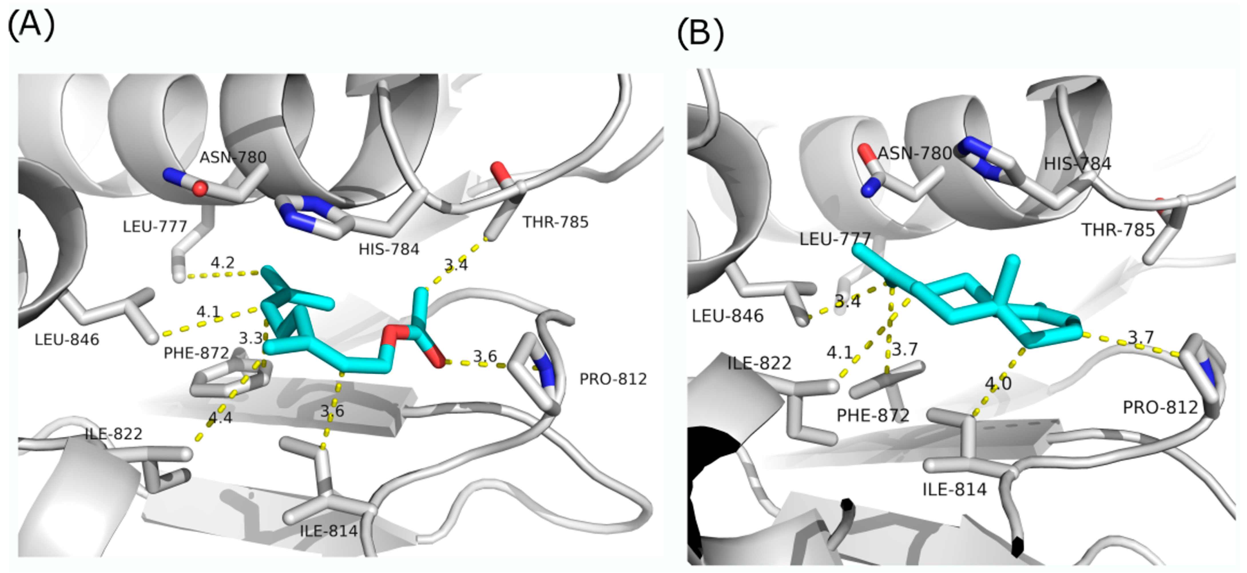 Antibiotics 13 00499 g005