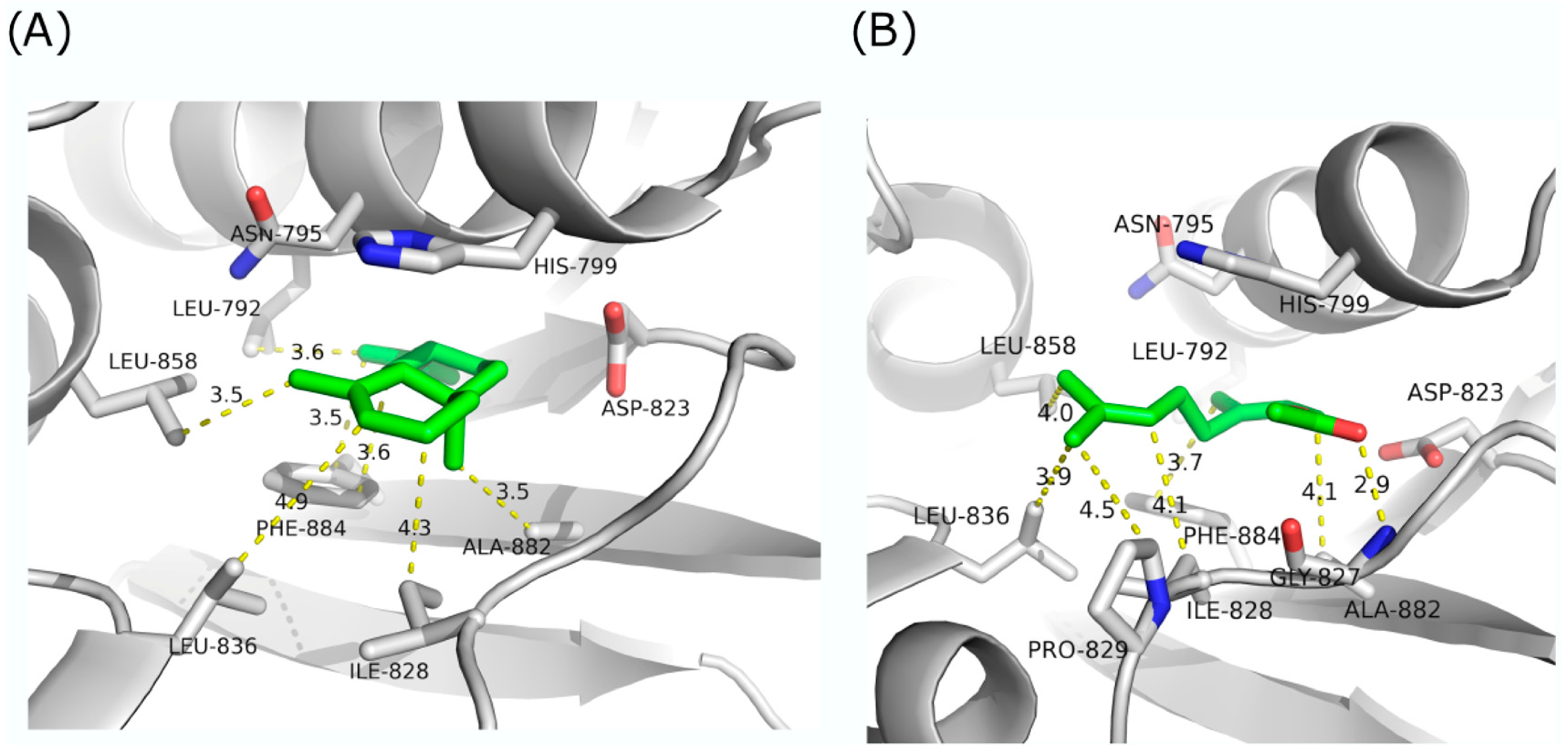 Antibiotics 13 00499 g006