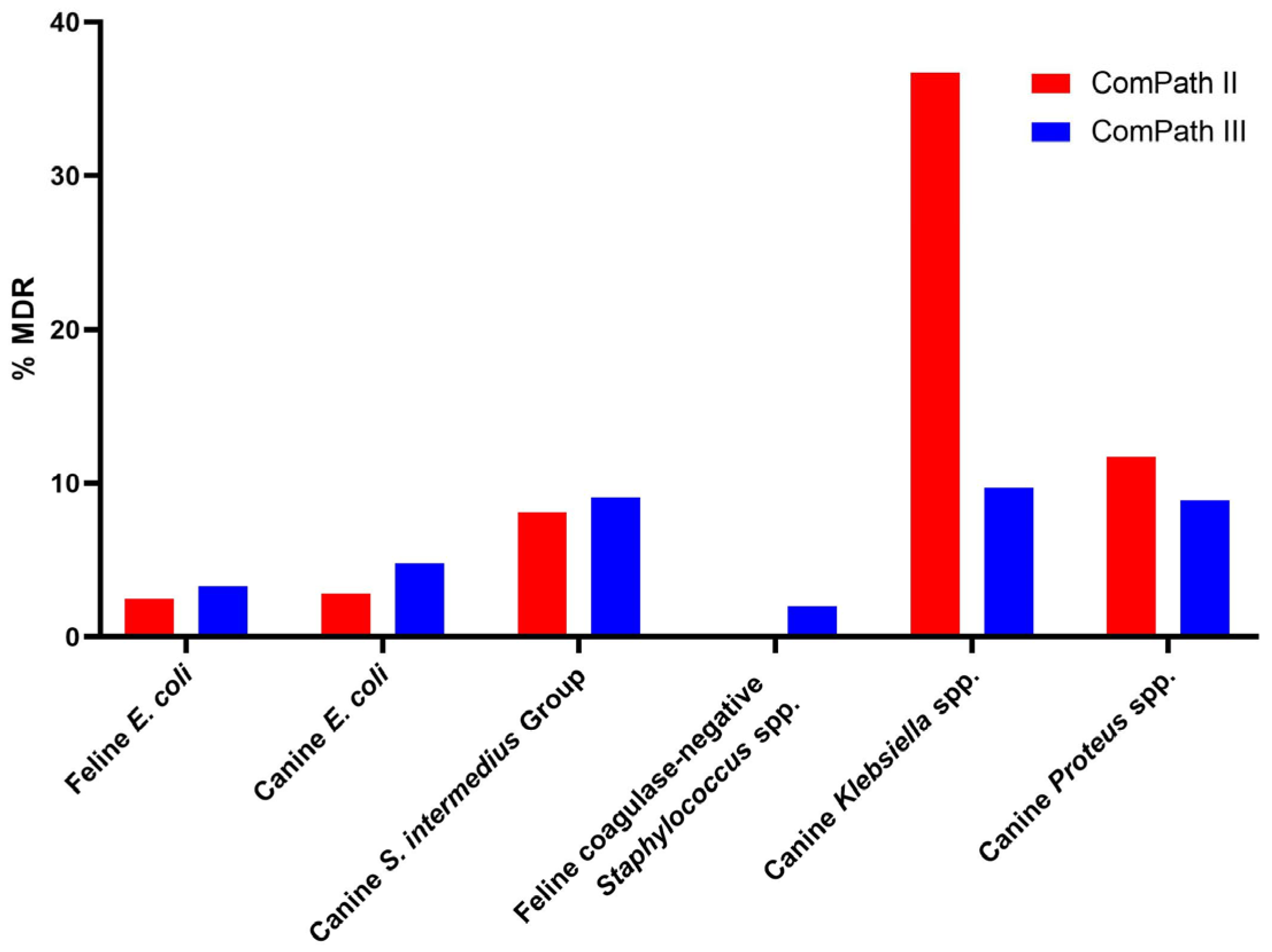 Antibiotics 13 00500 g008
