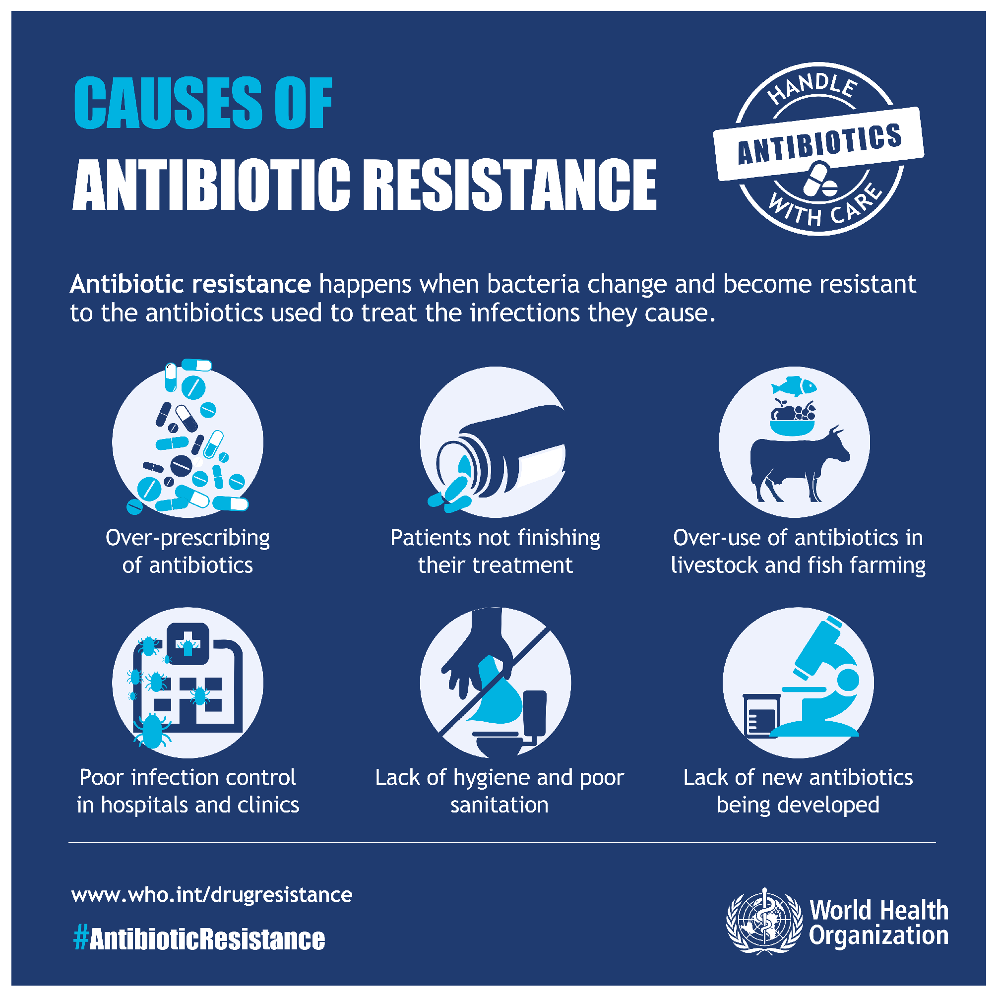 Antibiotics 13 00502 g001