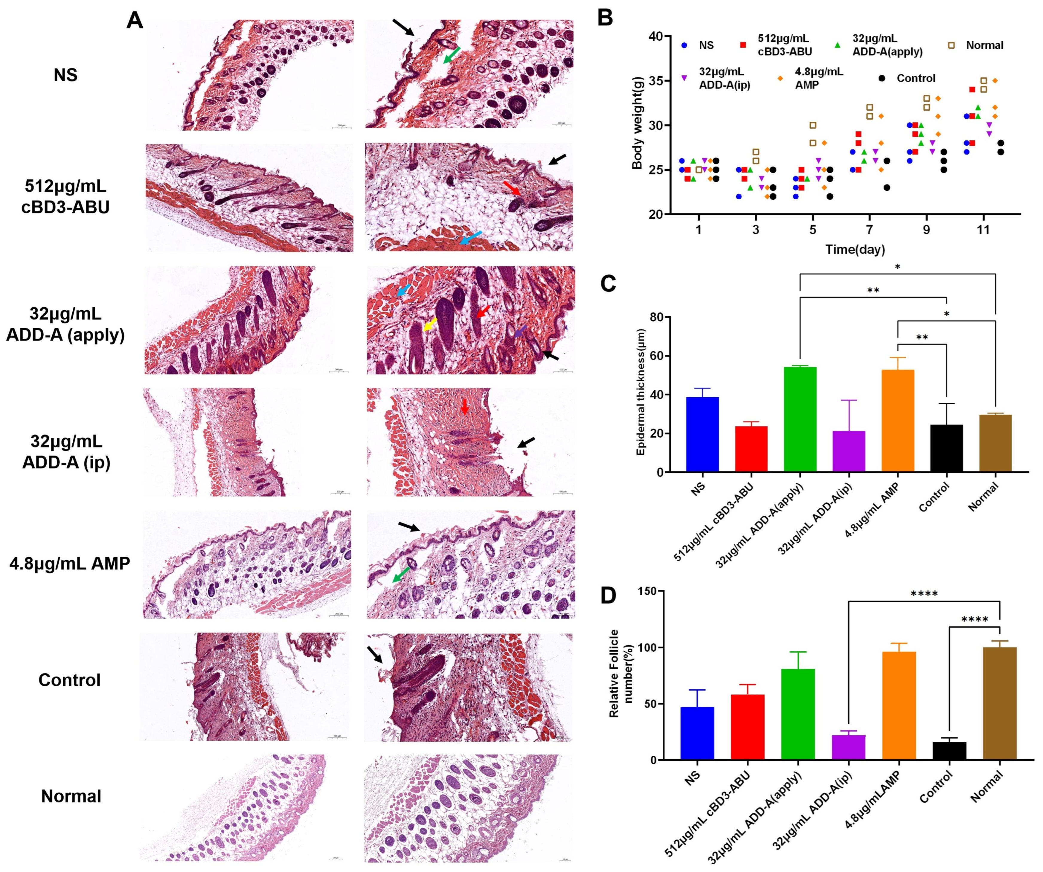 Antibiotics 13 00508 g003