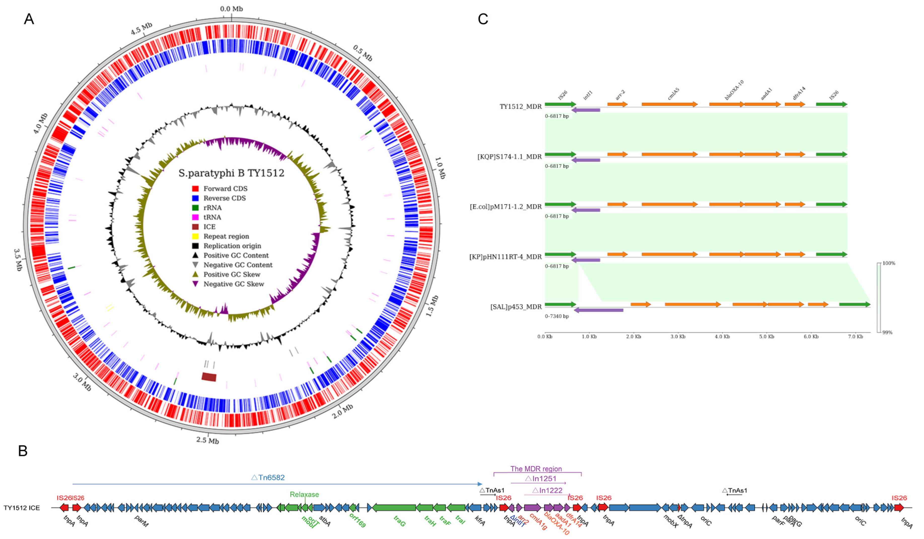 Antibiotics 13 00519 g007 Antibiotics 13 00519 g007