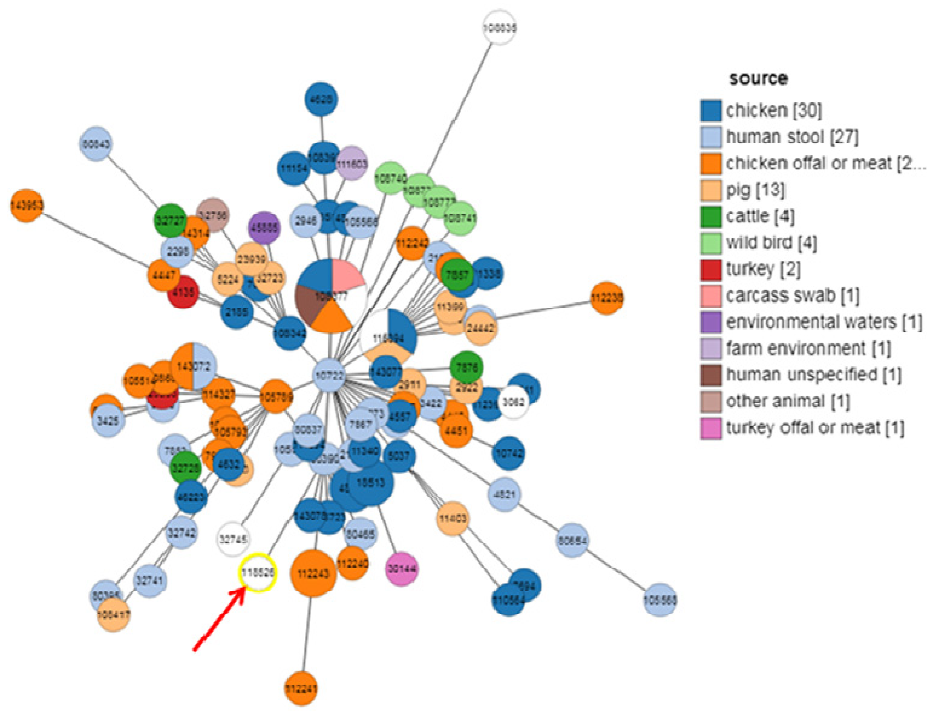 Antibiotics 13 00527 g004