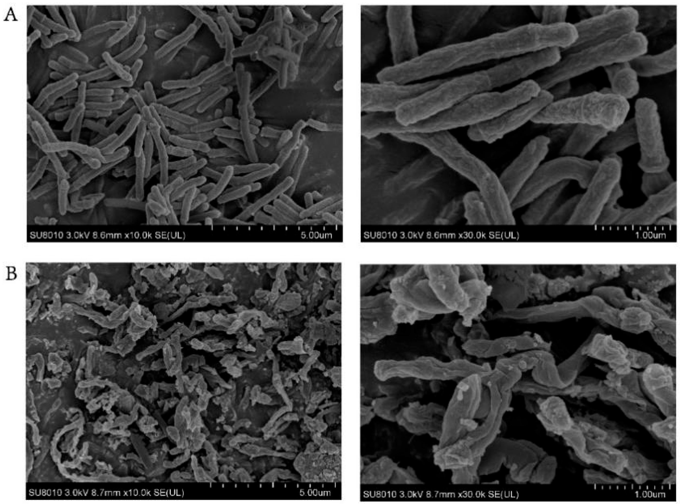 Antibiotics 13 00529 g003 Antibiotics 13 00529 g003