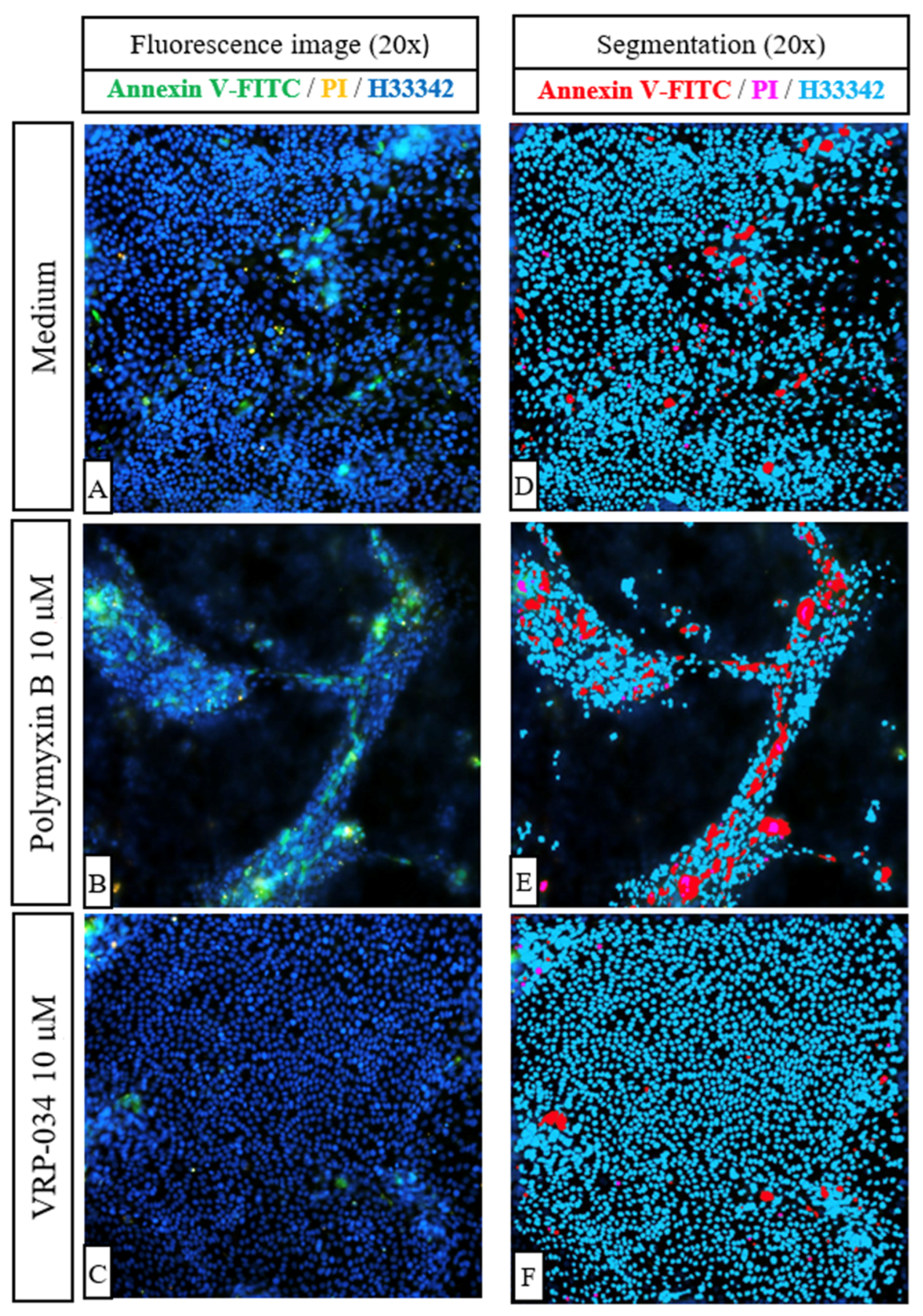 Antibiotics 13 00530 g005