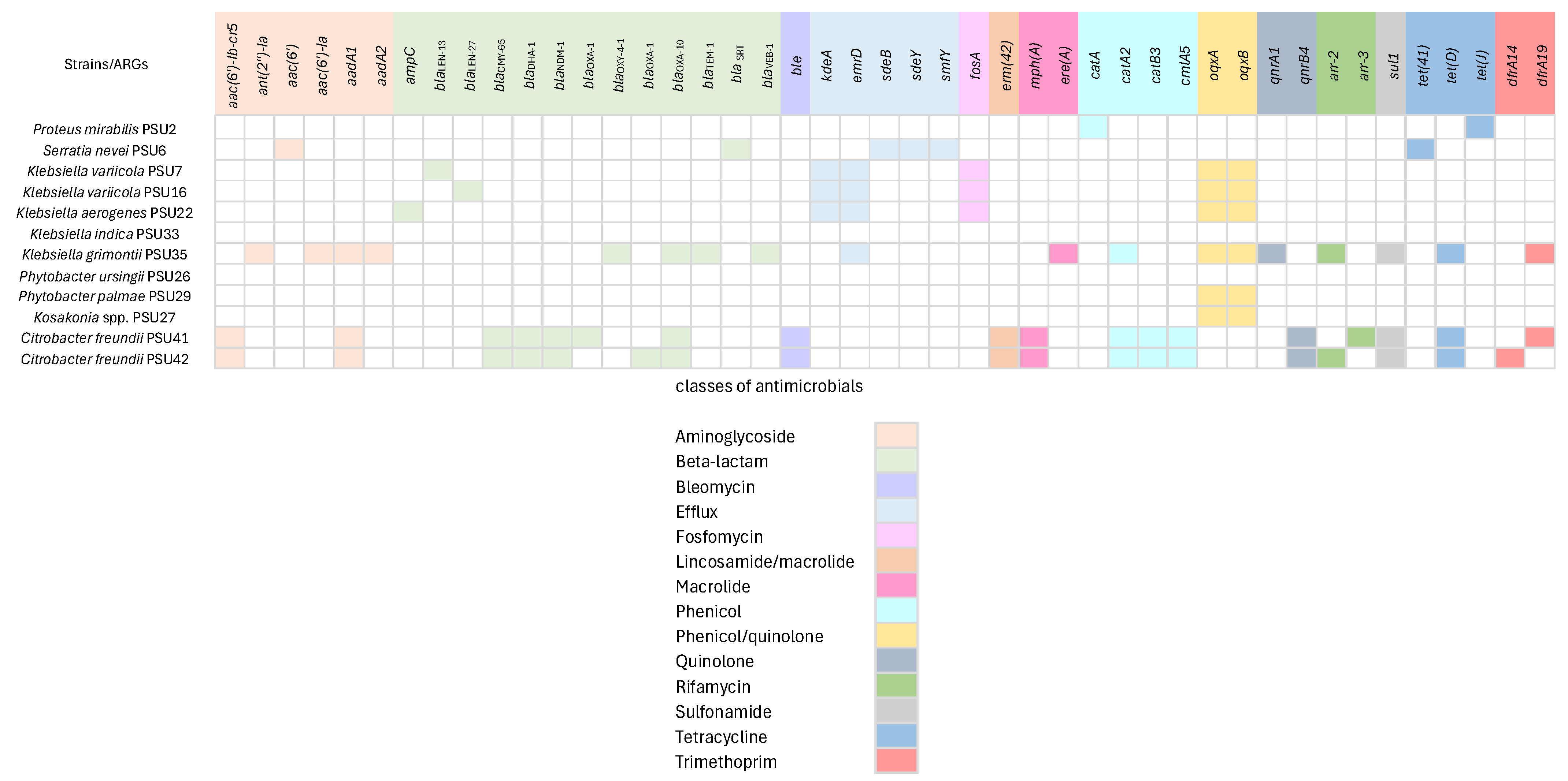 Antibiotics 13 00531 g002