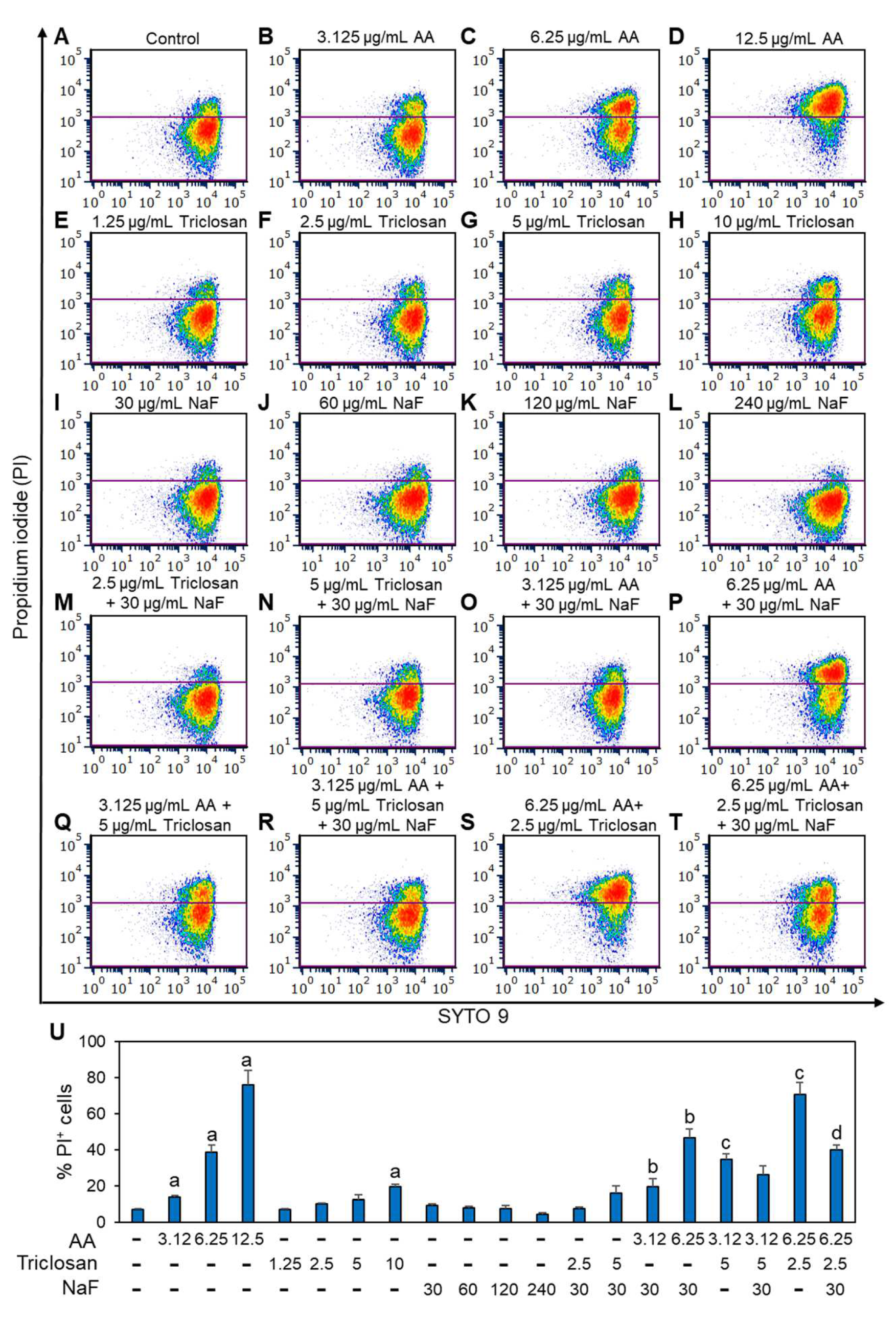 Antibiotics 13 00540 g004
