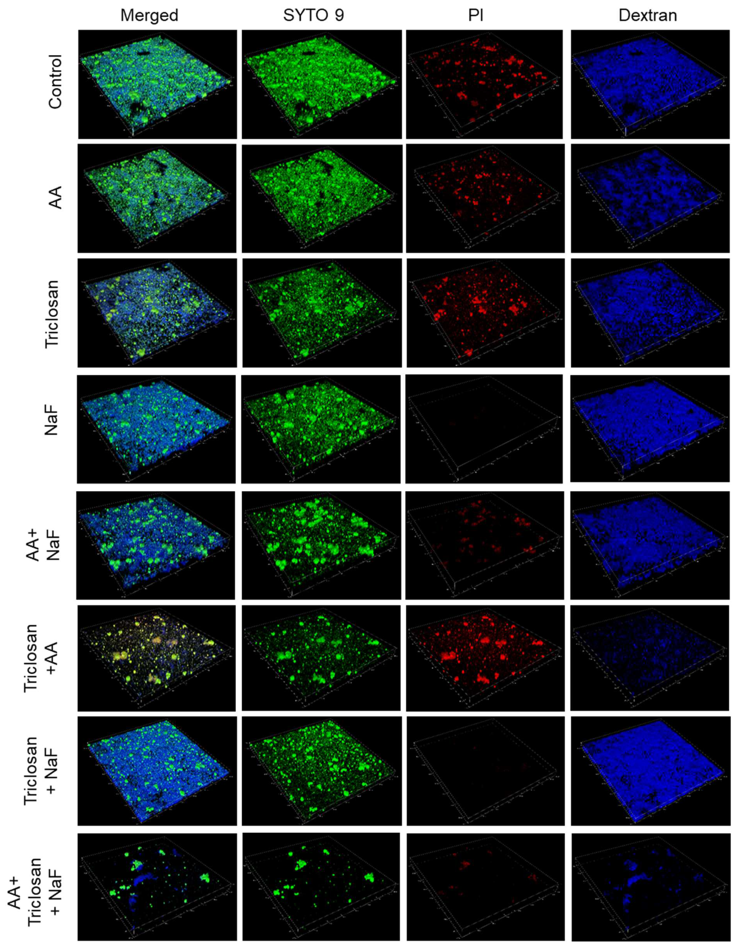 Antibiotics 13 00540 g008