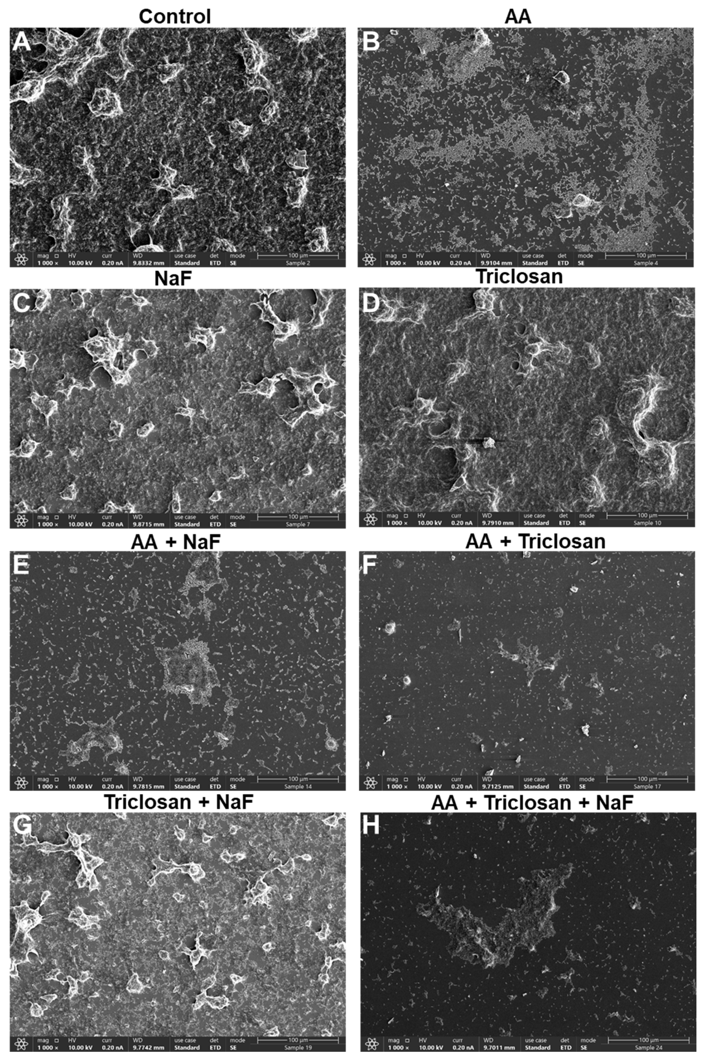 Antibiotics 13 00540 g010