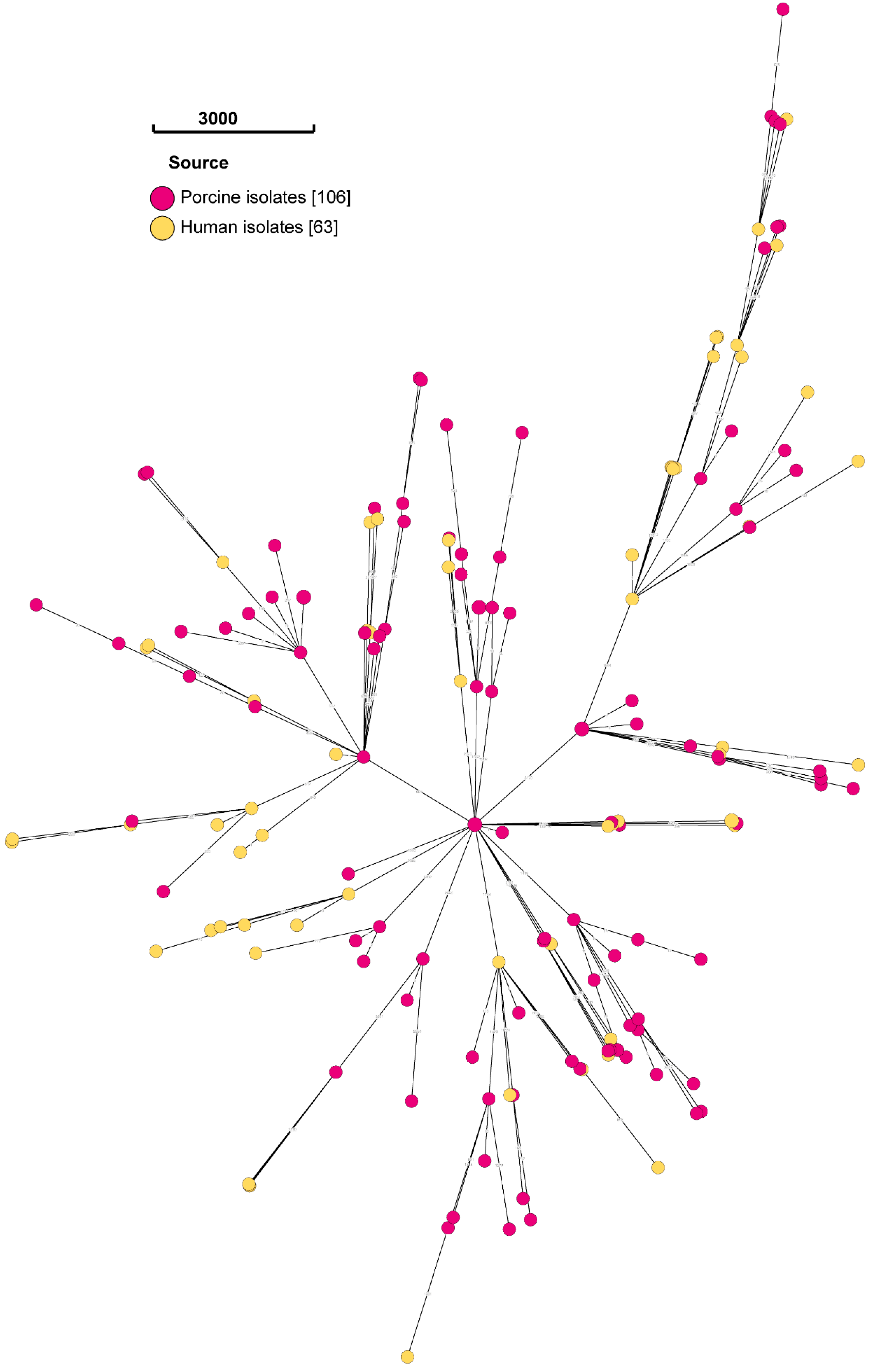 Antibiotics 13 00543 g001