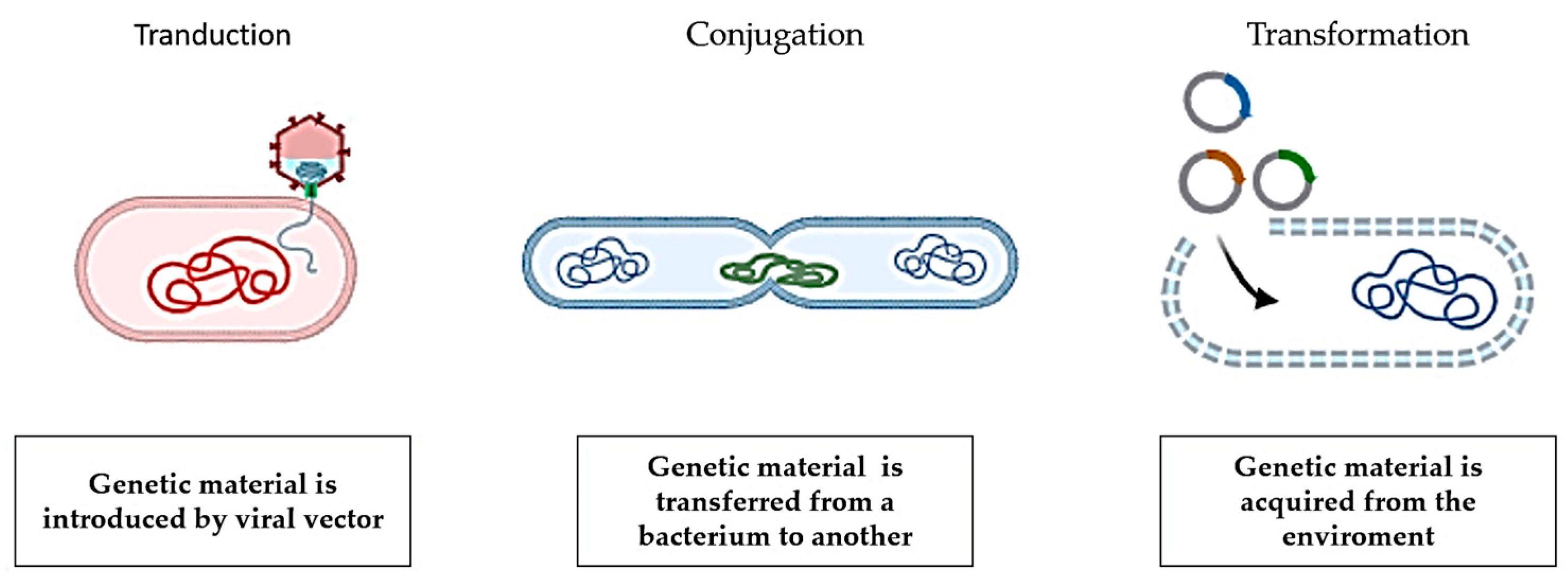 Antibiotics 13 00551 g002