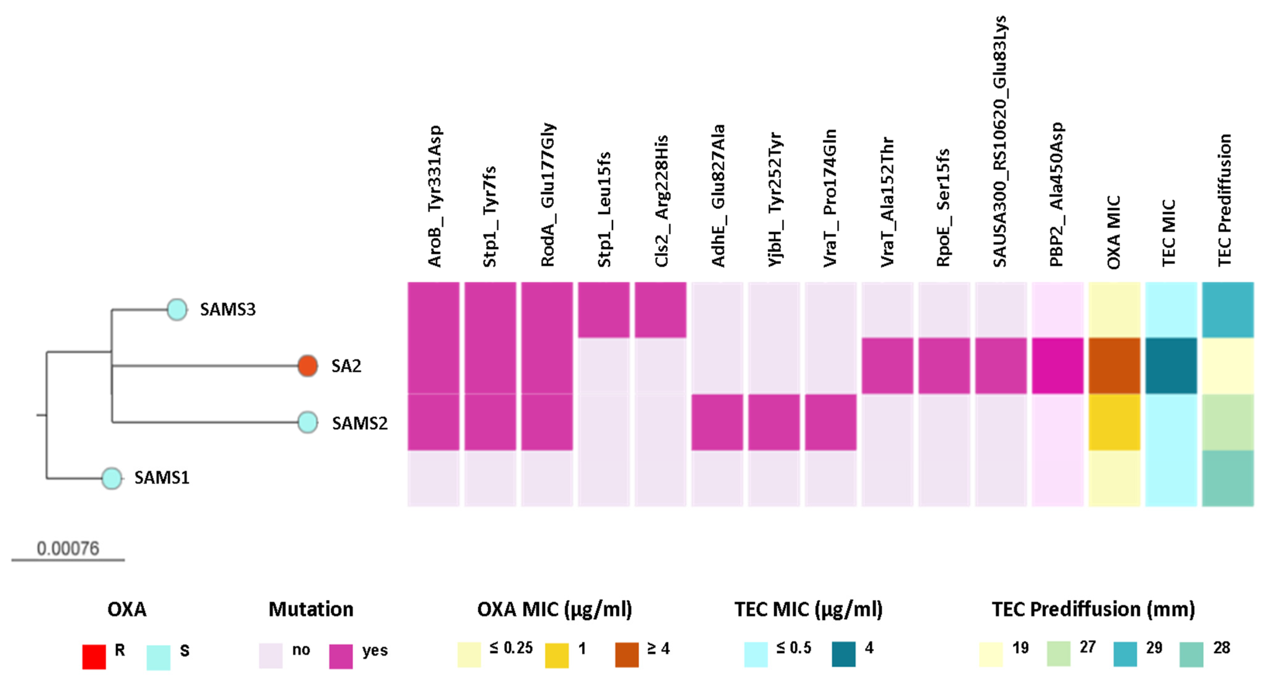 Antibiotics 13 00554 g002