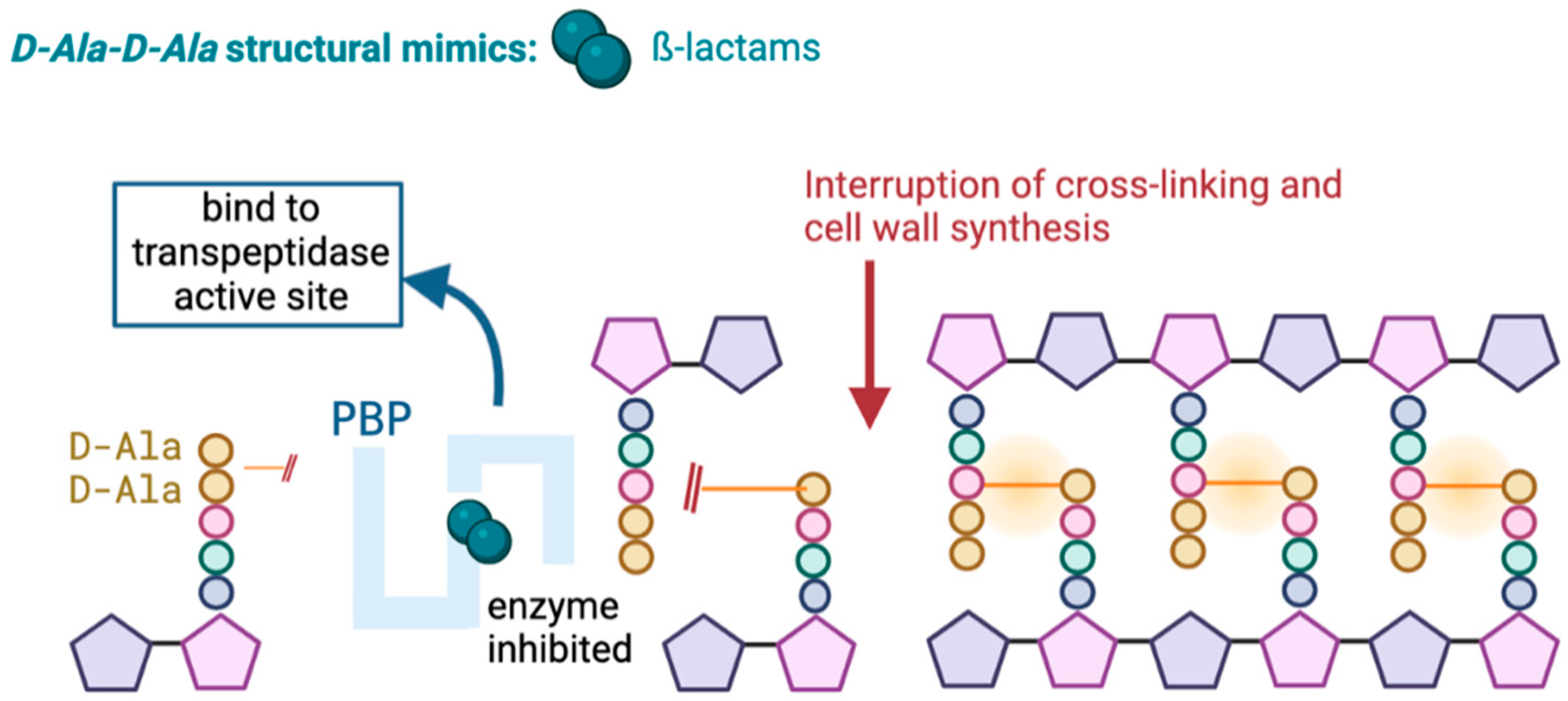 Antibiotics 13 00557 g001