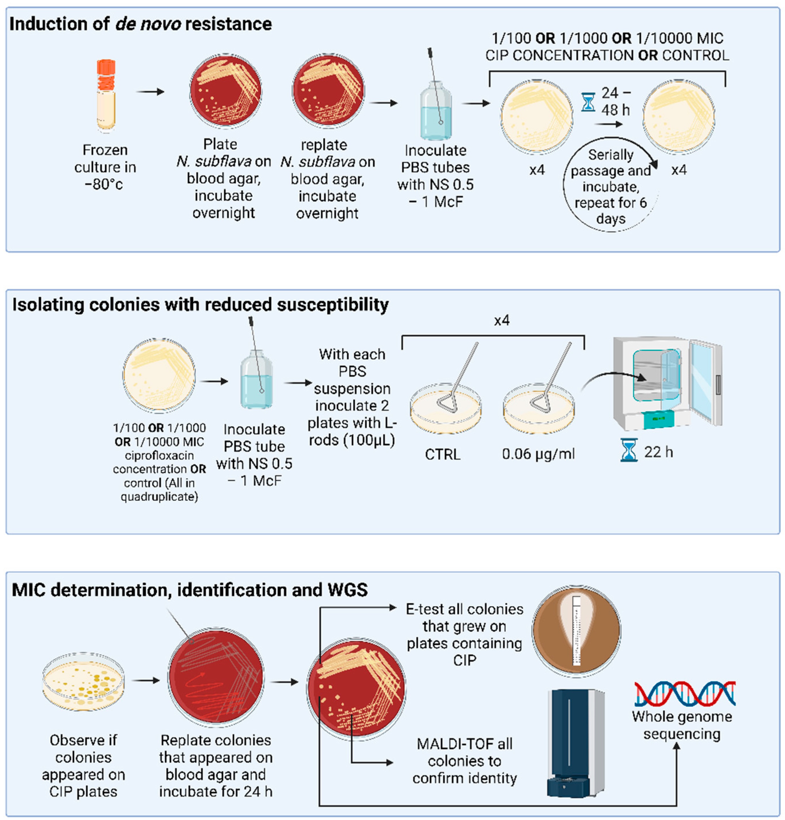 Antibiotics 13 00560 g001