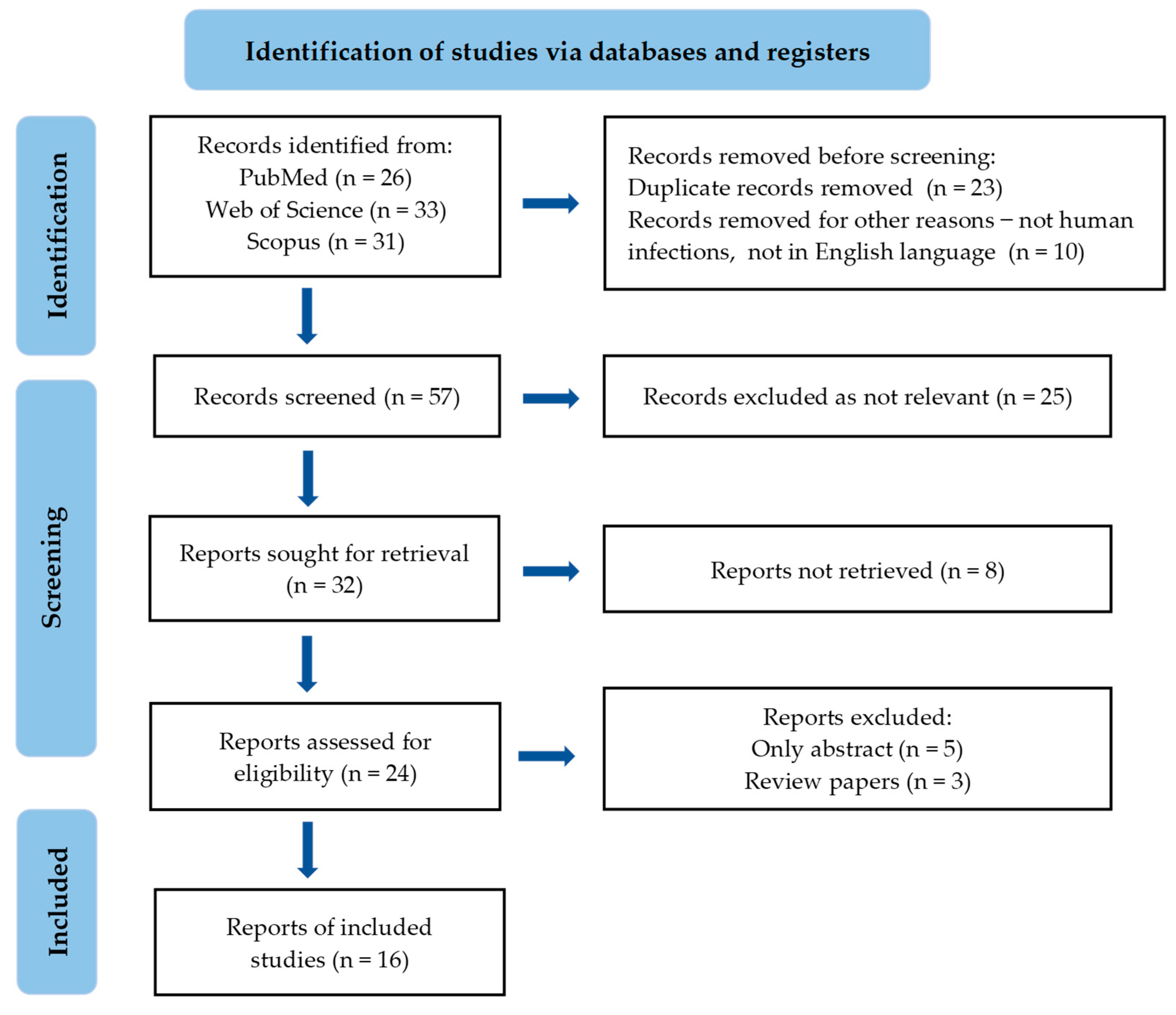 Antibiotics 13 00568 g001