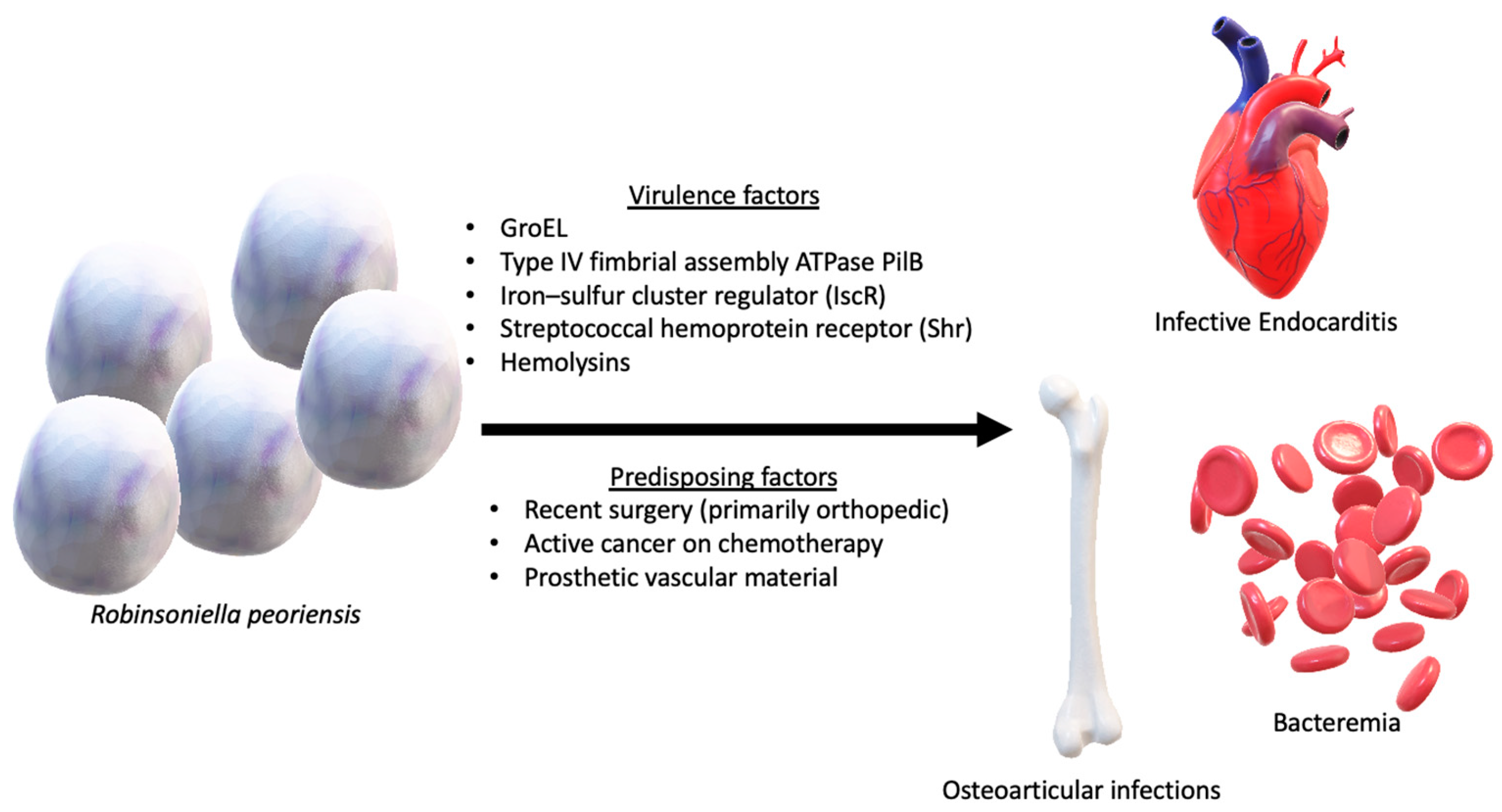 Antibiotics 13 00570 g004