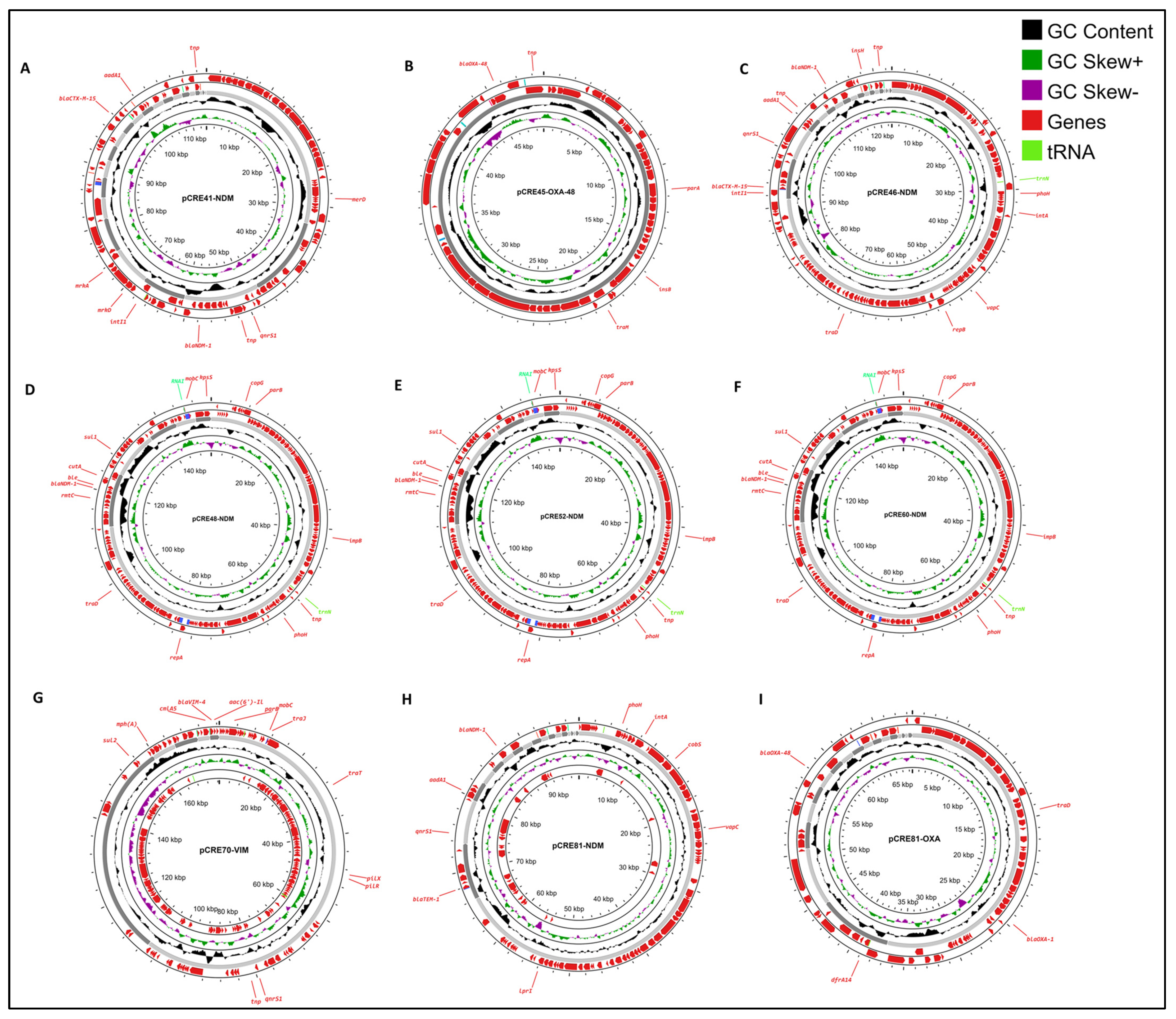 Antibiotics 13 00592 g002