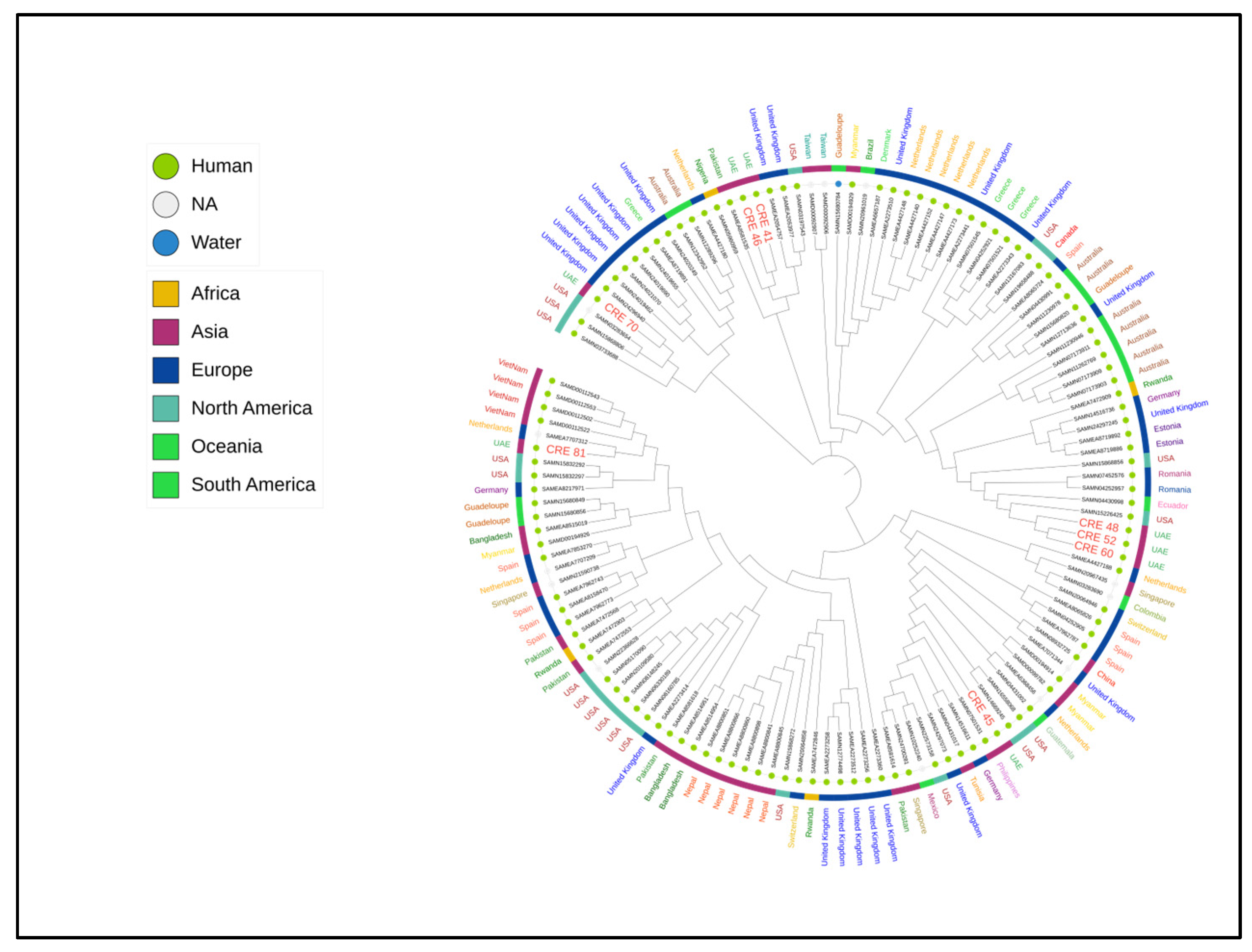 Antibiotics 13 00592 g004