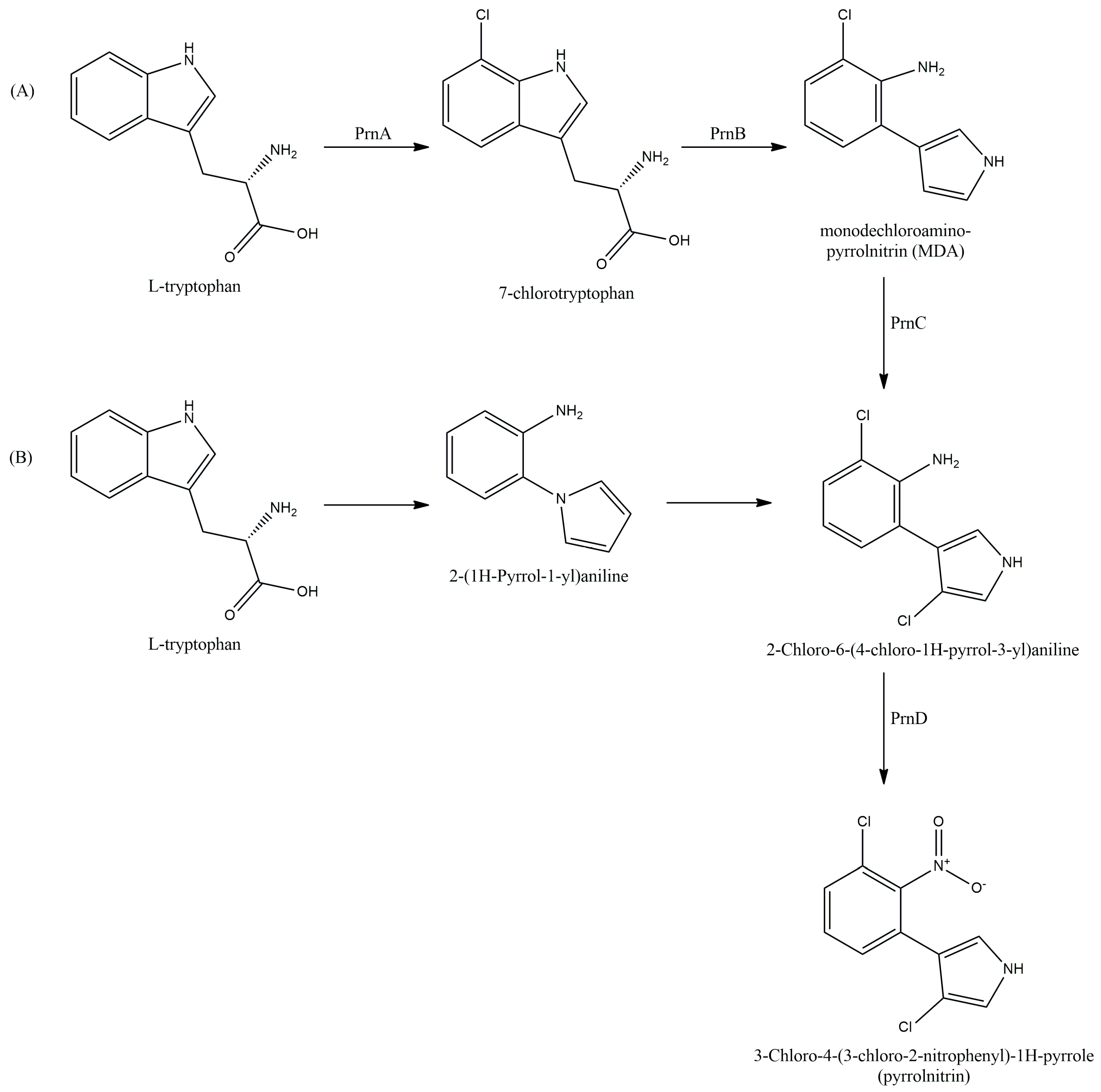 Antibiotics 13 00597 g005 Antibiotics 13 00597 g005