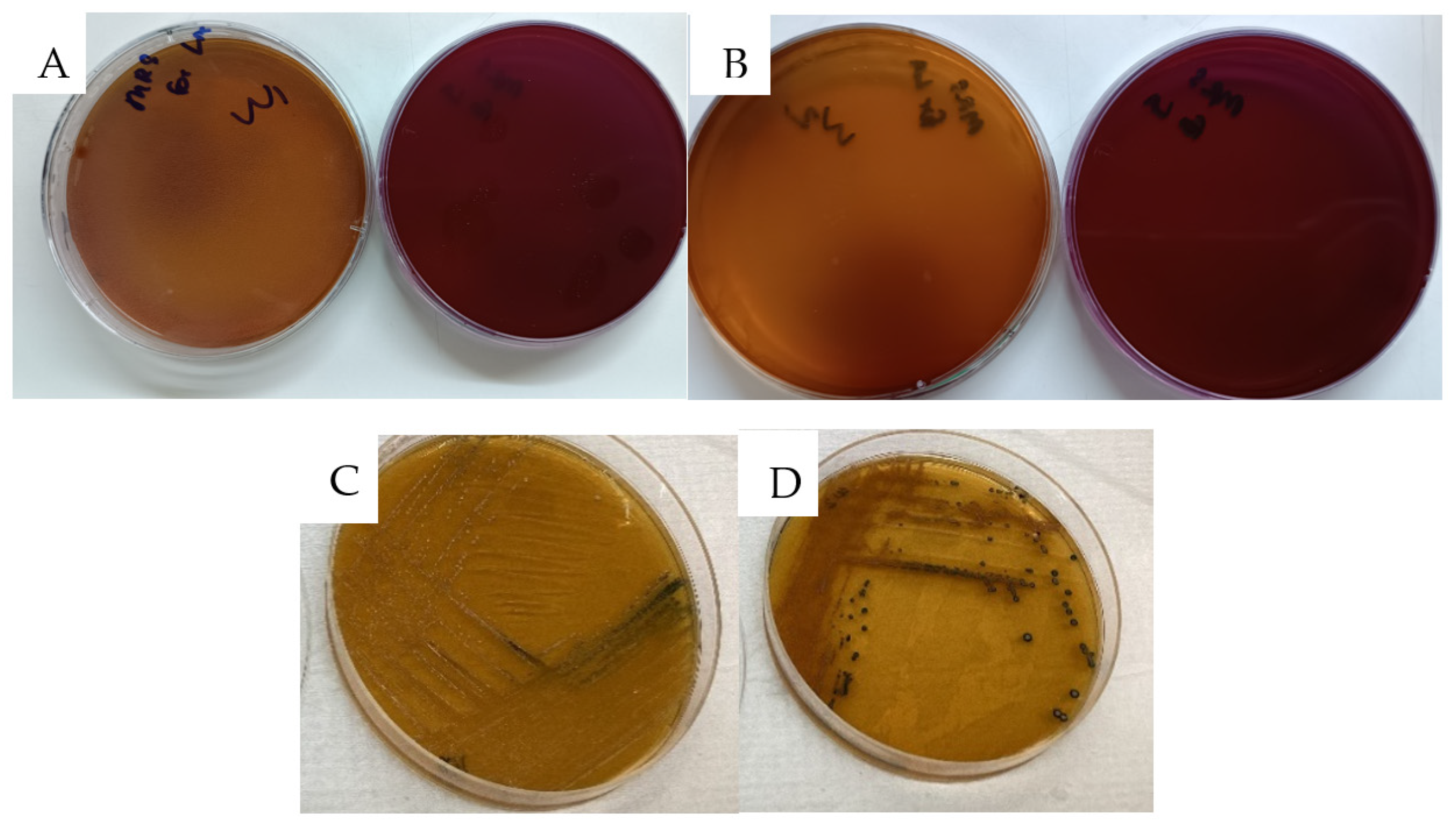 Antibiotics 13 00604 g005 Antibiotics 13 00604 g005