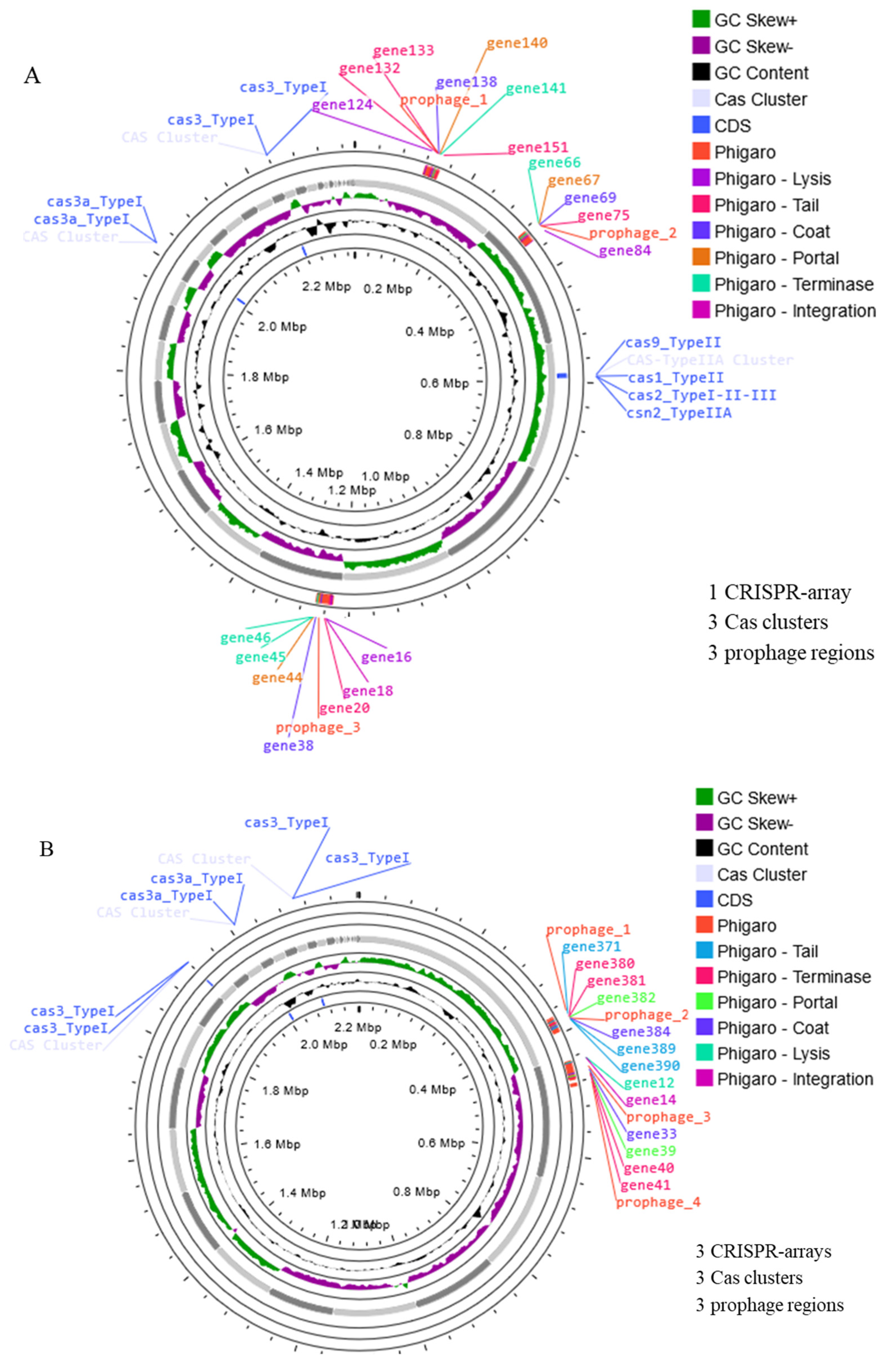 Antibiotics 13 00604 g006 Antibiotics 13 00604 g006