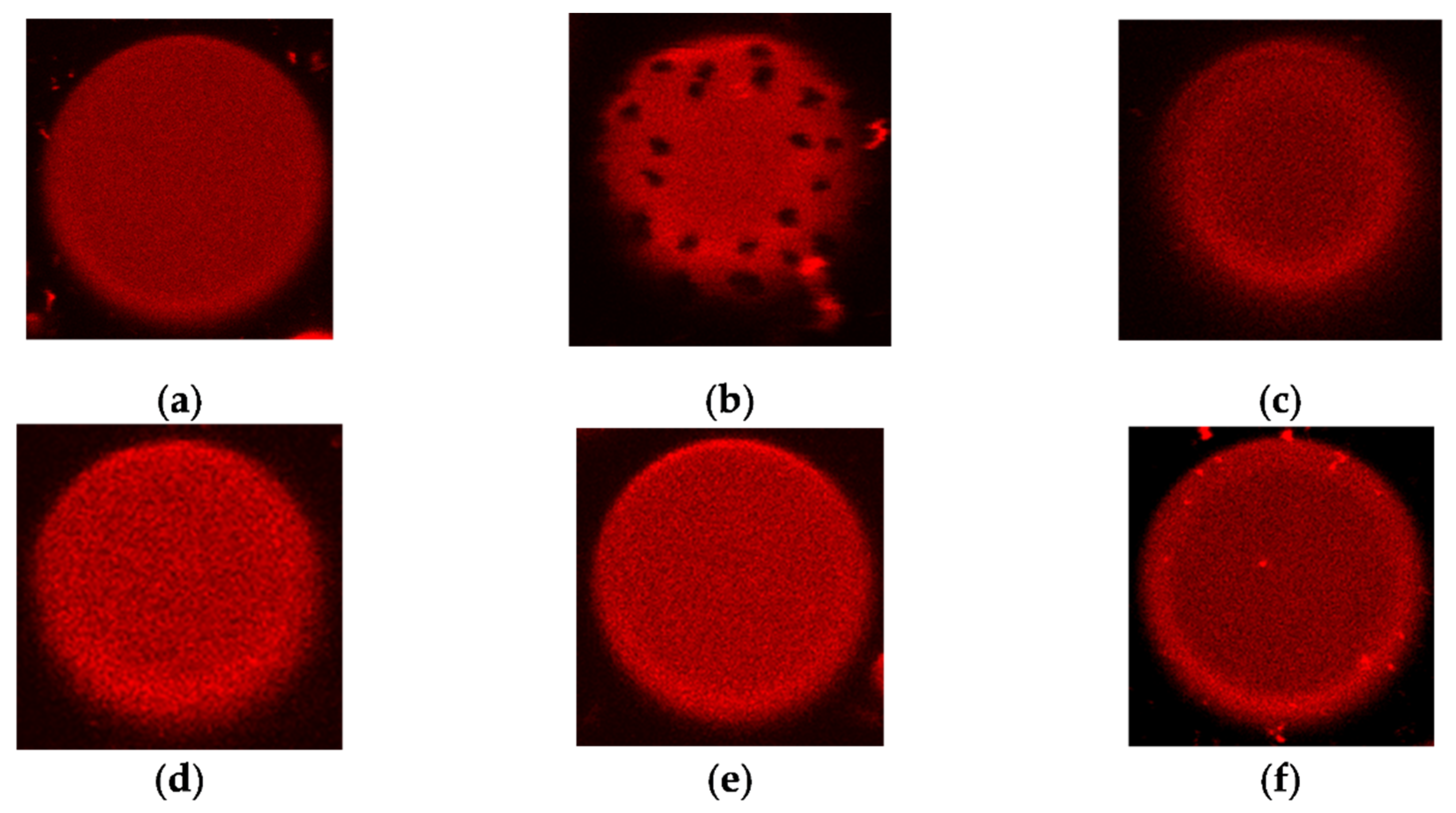 Antibiotics 13 00608 g006