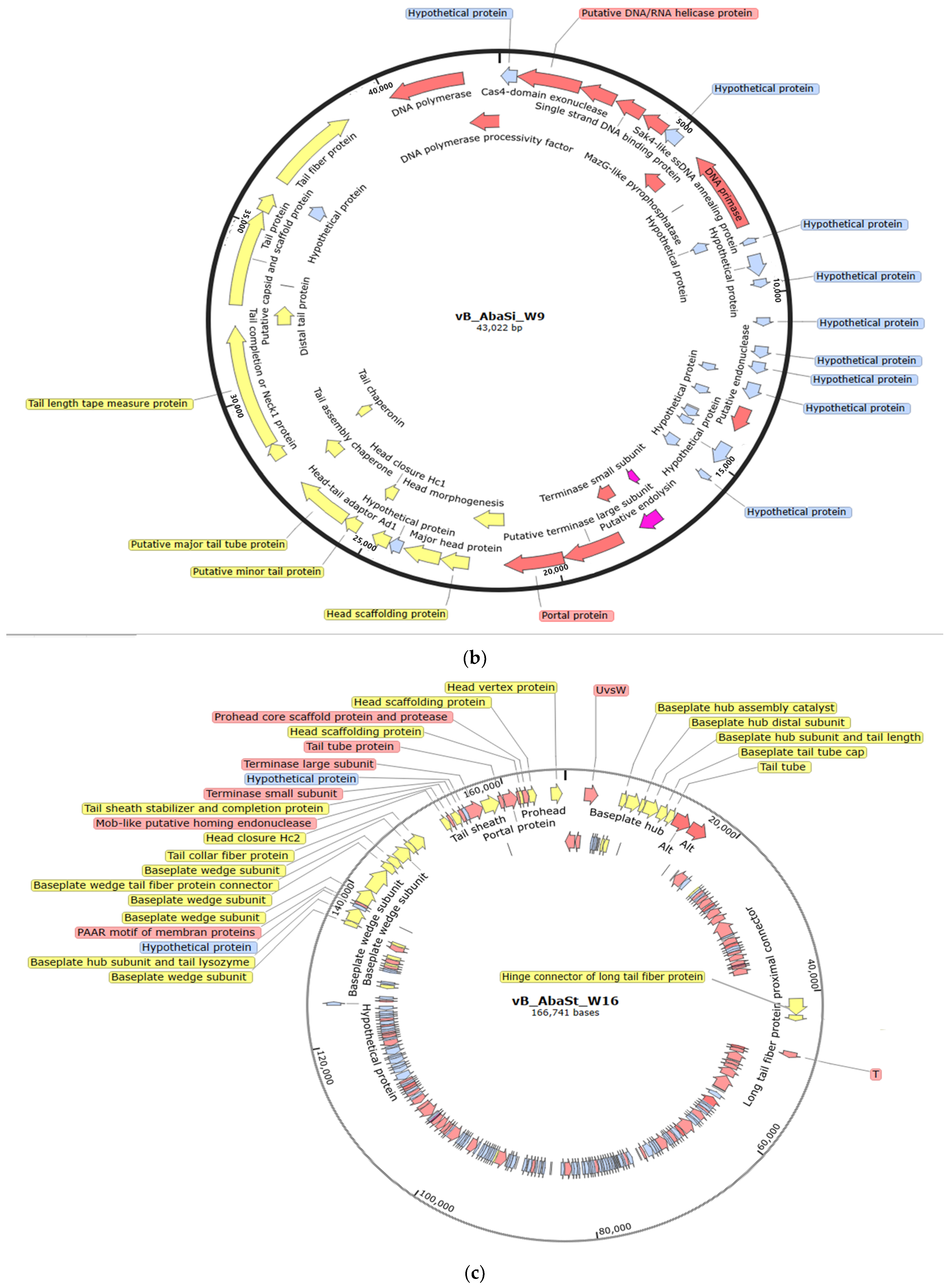 Antibiotics 13 00610 g001b Antibiotics 13 00610 g001b