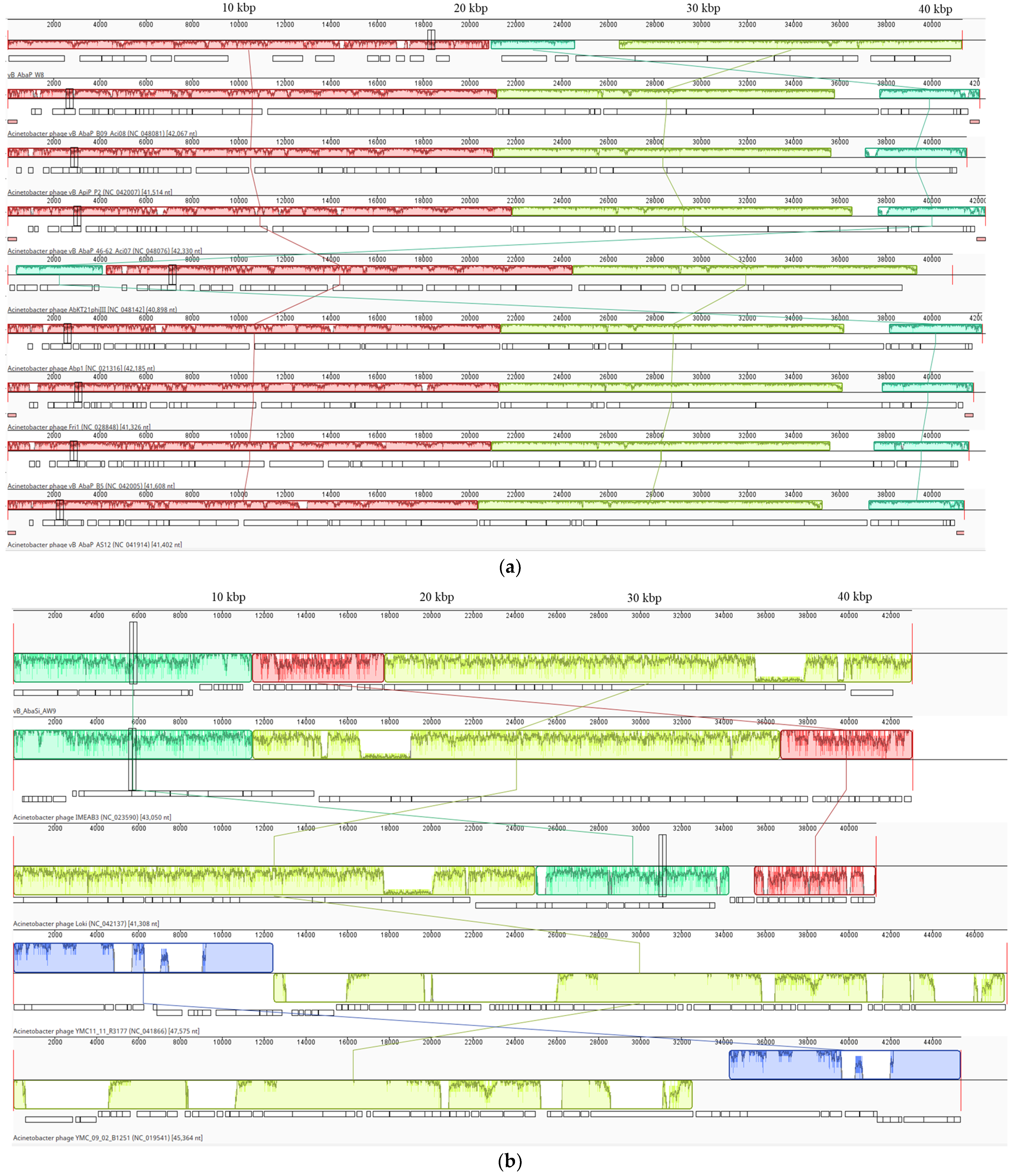 Antibiotics 13 00610 g002a Antibiotics 13 00610 g002a