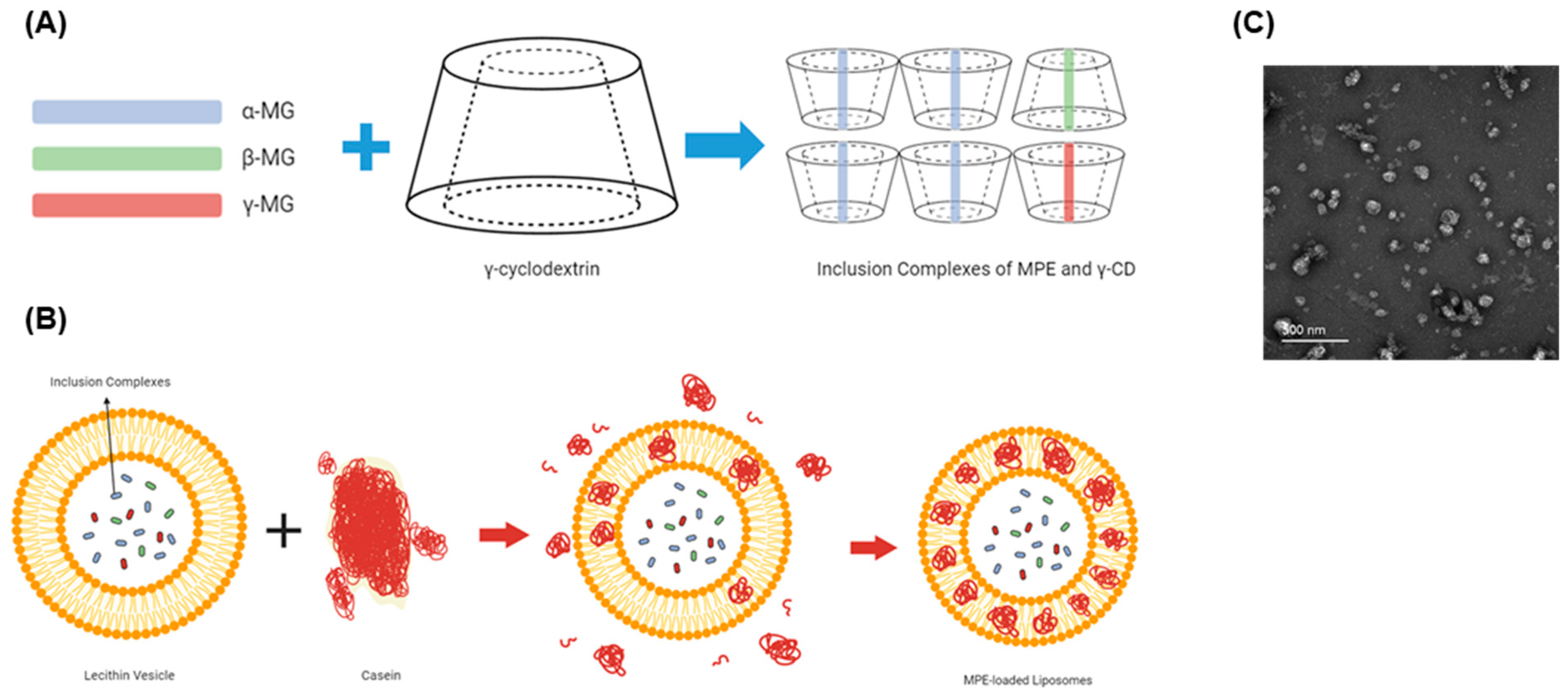 Antibiotics 13 00612 g001 Antibiotics 13 00612 g001