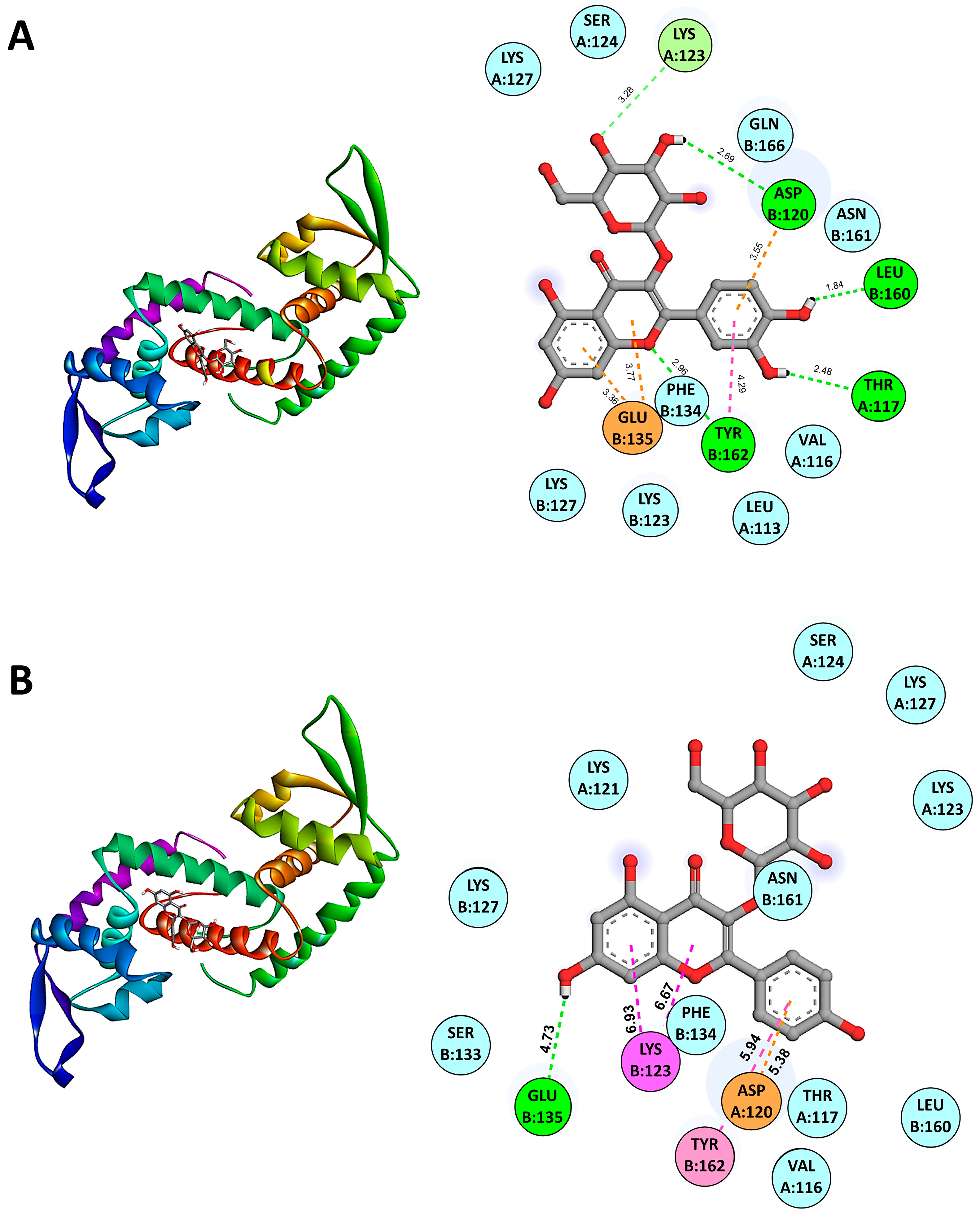 Antibiotics 13 00613 g004