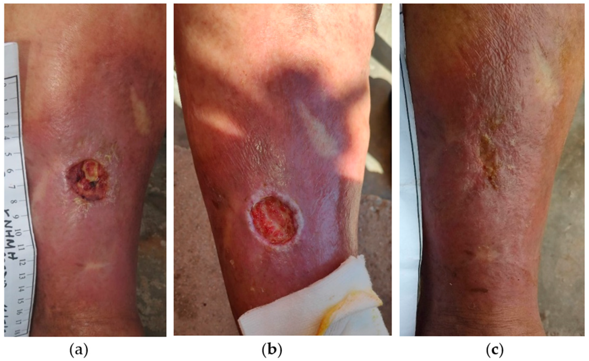 Antibiotics 13 00614 g002