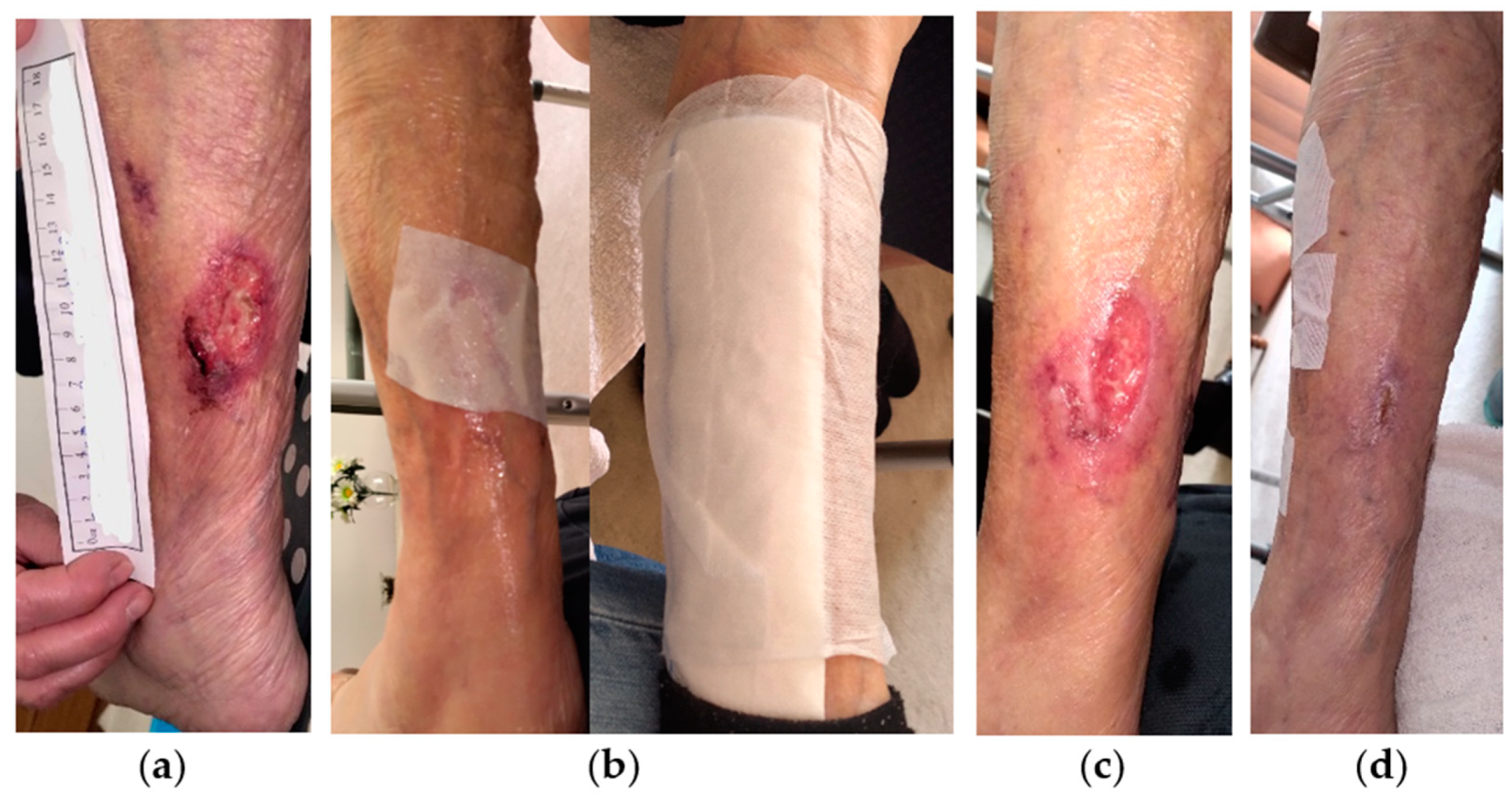 Antibiotics 13 00614 g005