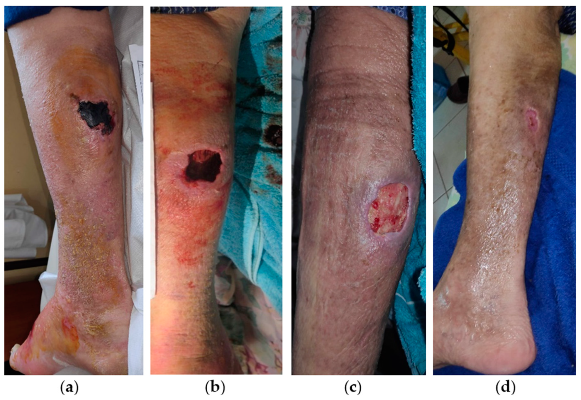 Antibiotics 13 00614 g006