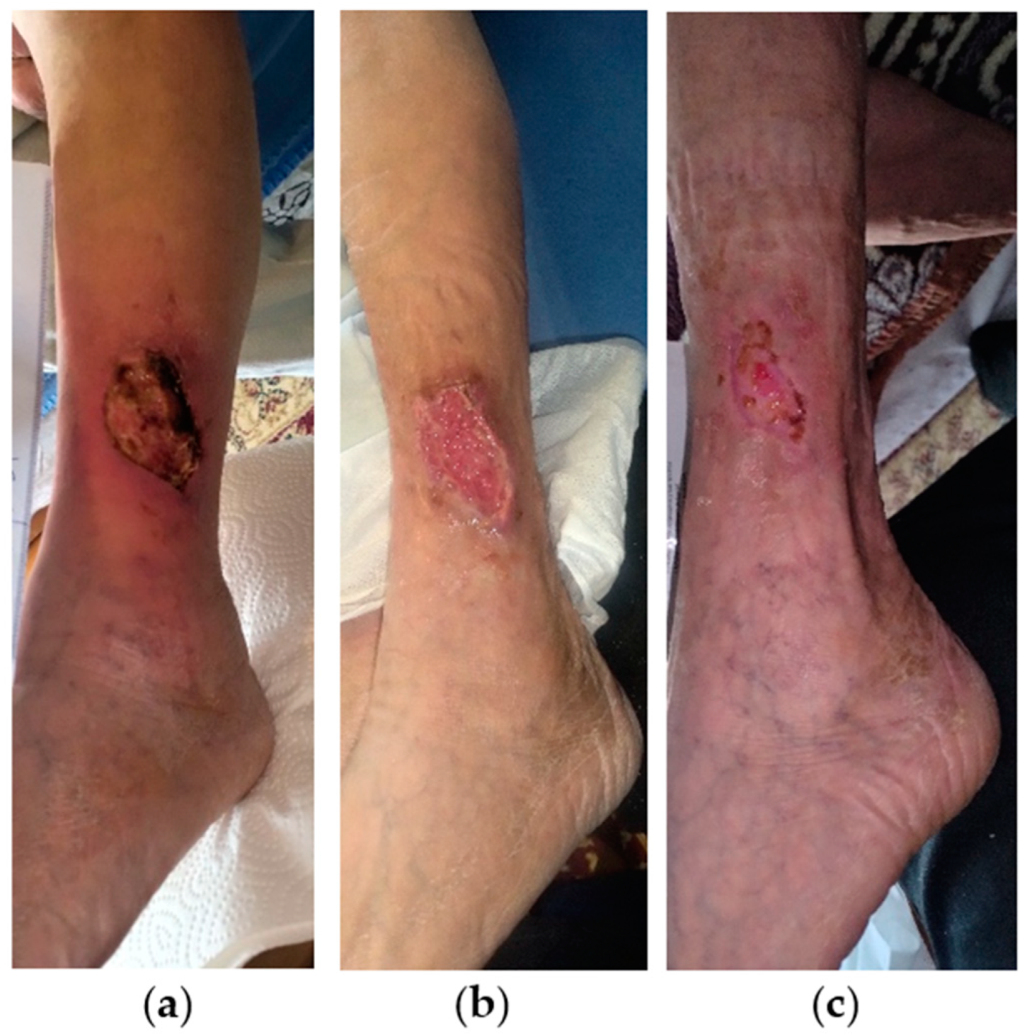 Antibiotics 13 00614 g009