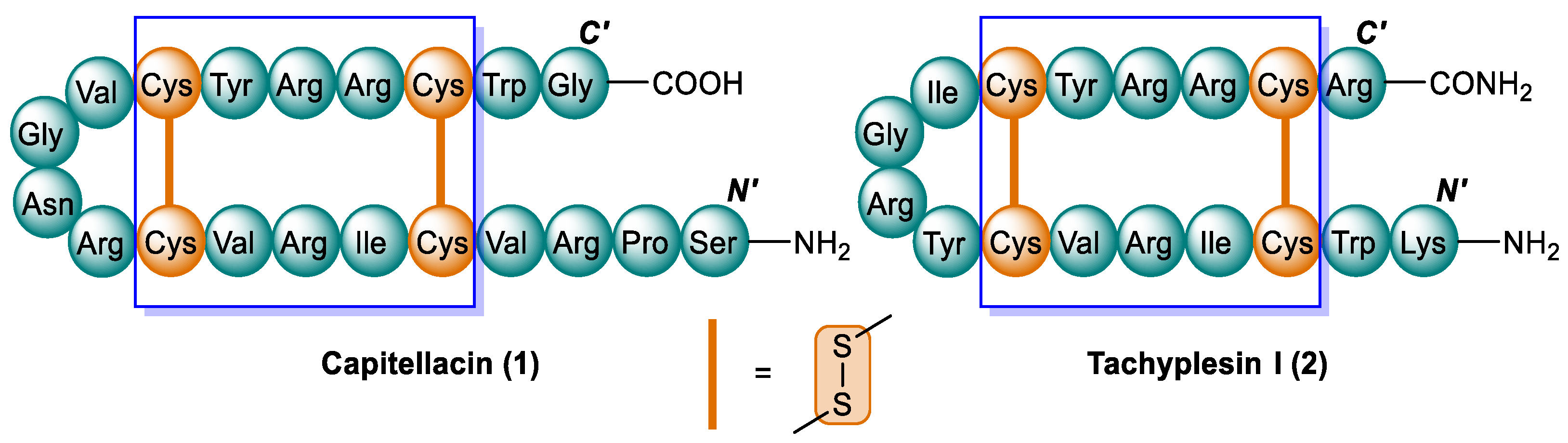 Antibiotics 13 00615 g001