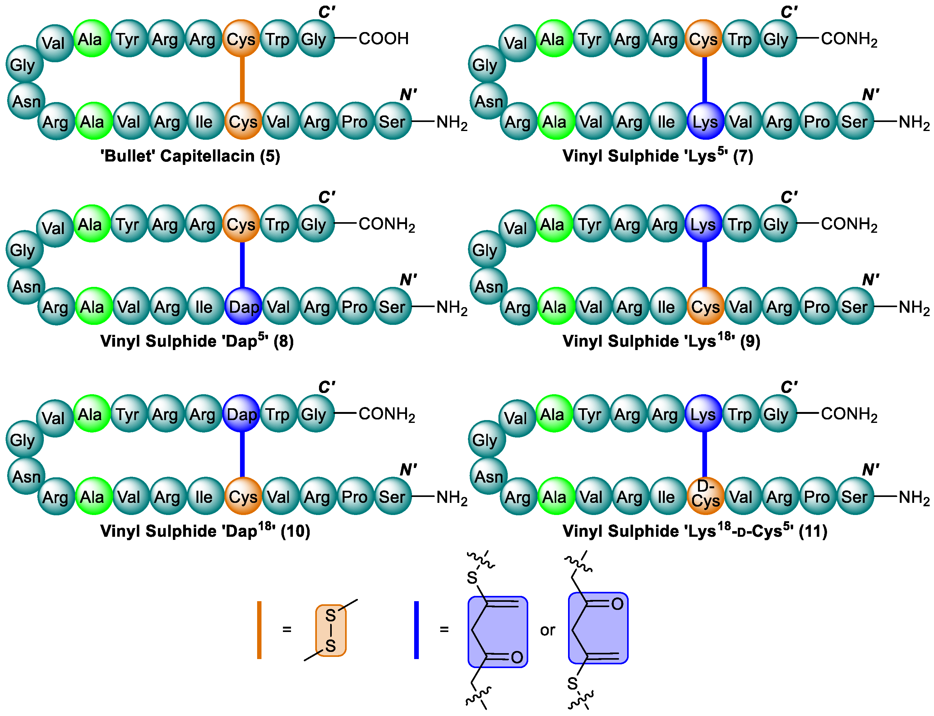 Antibiotics 13 00615 g005