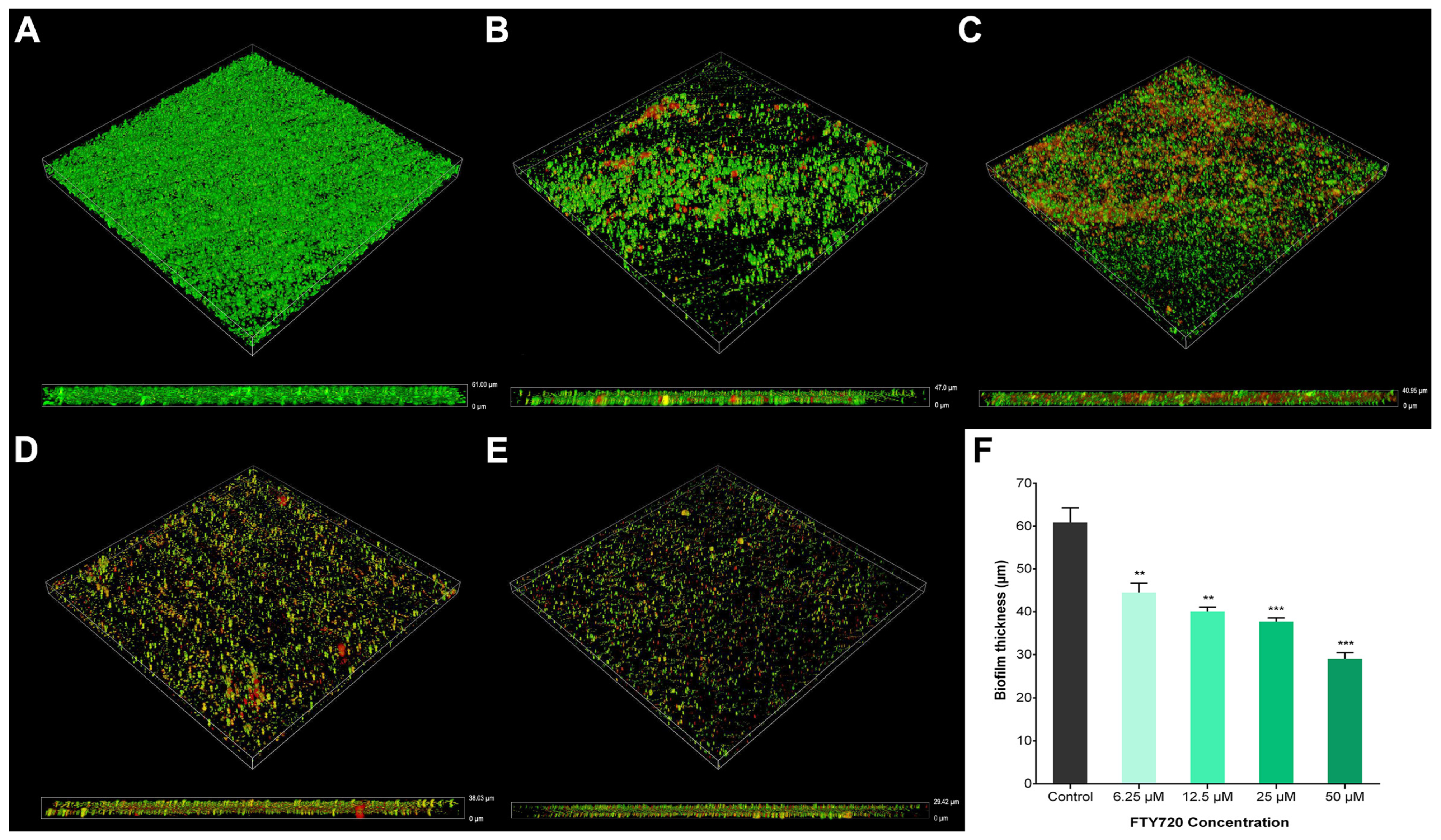Antibiotics 13 00621 g006