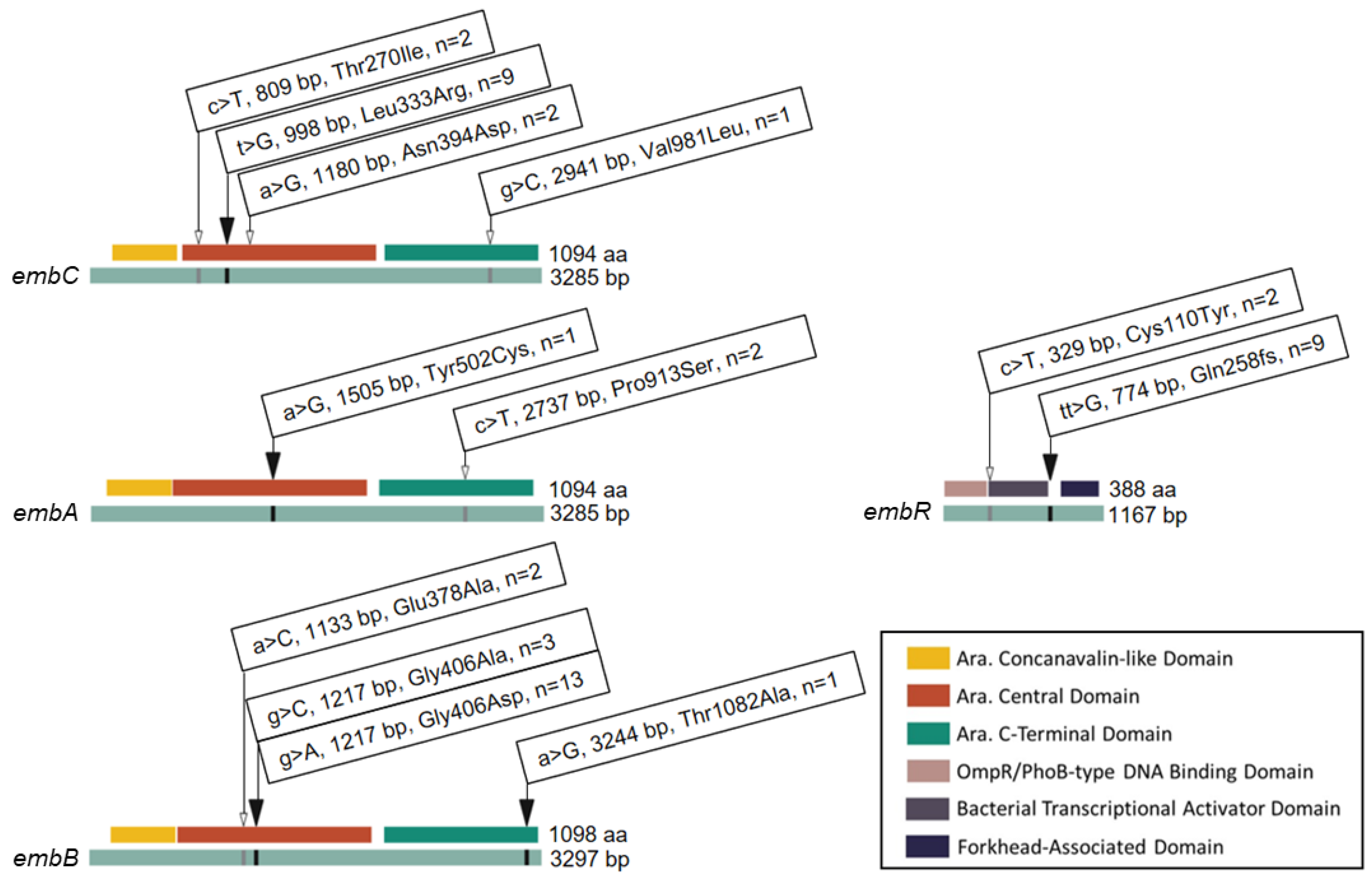 Antibiotics 13 00624 g002 Antibiotics 13 00624 g002