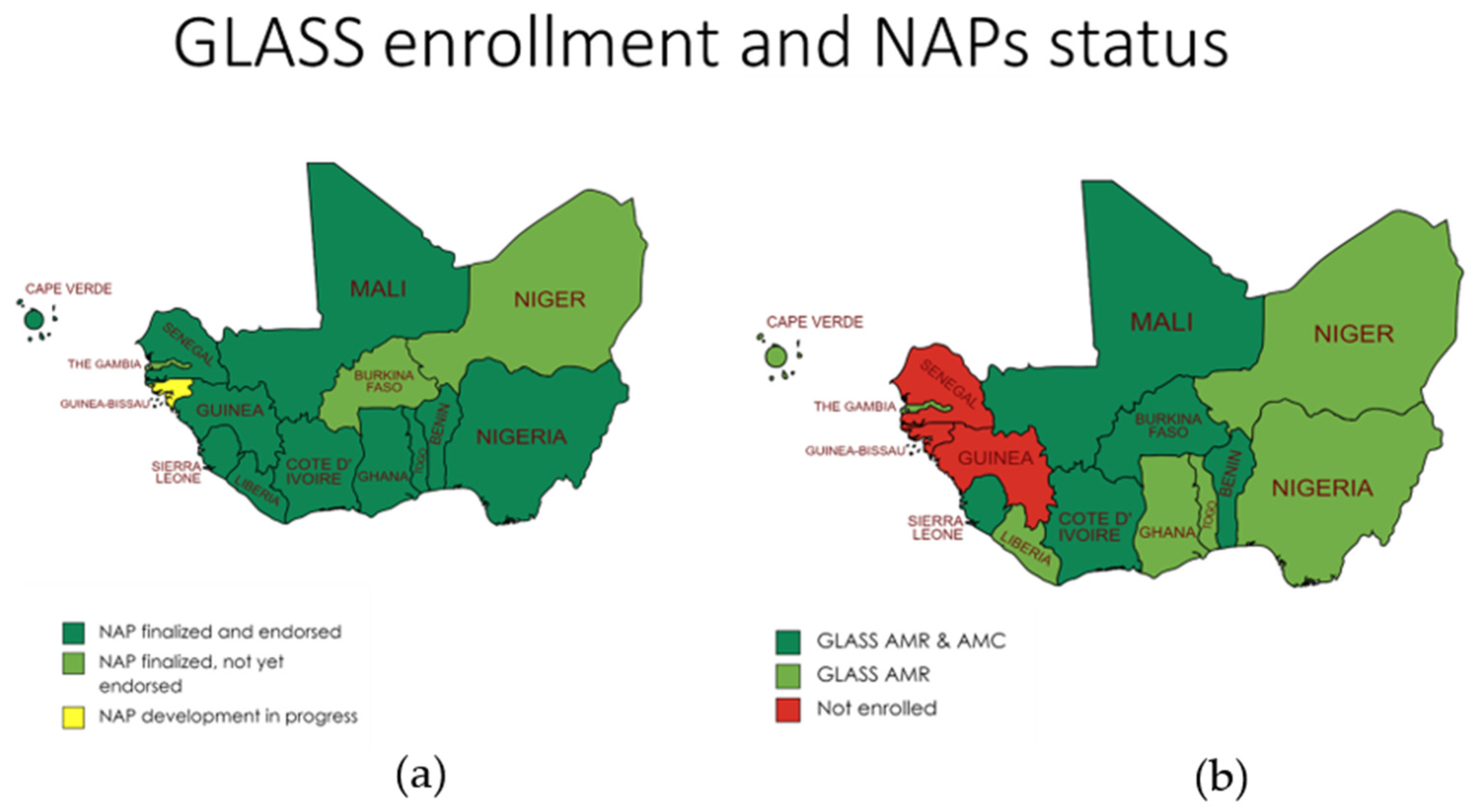 Antibiotics 13 00627 g001 Antibiotics 13 00627 g001