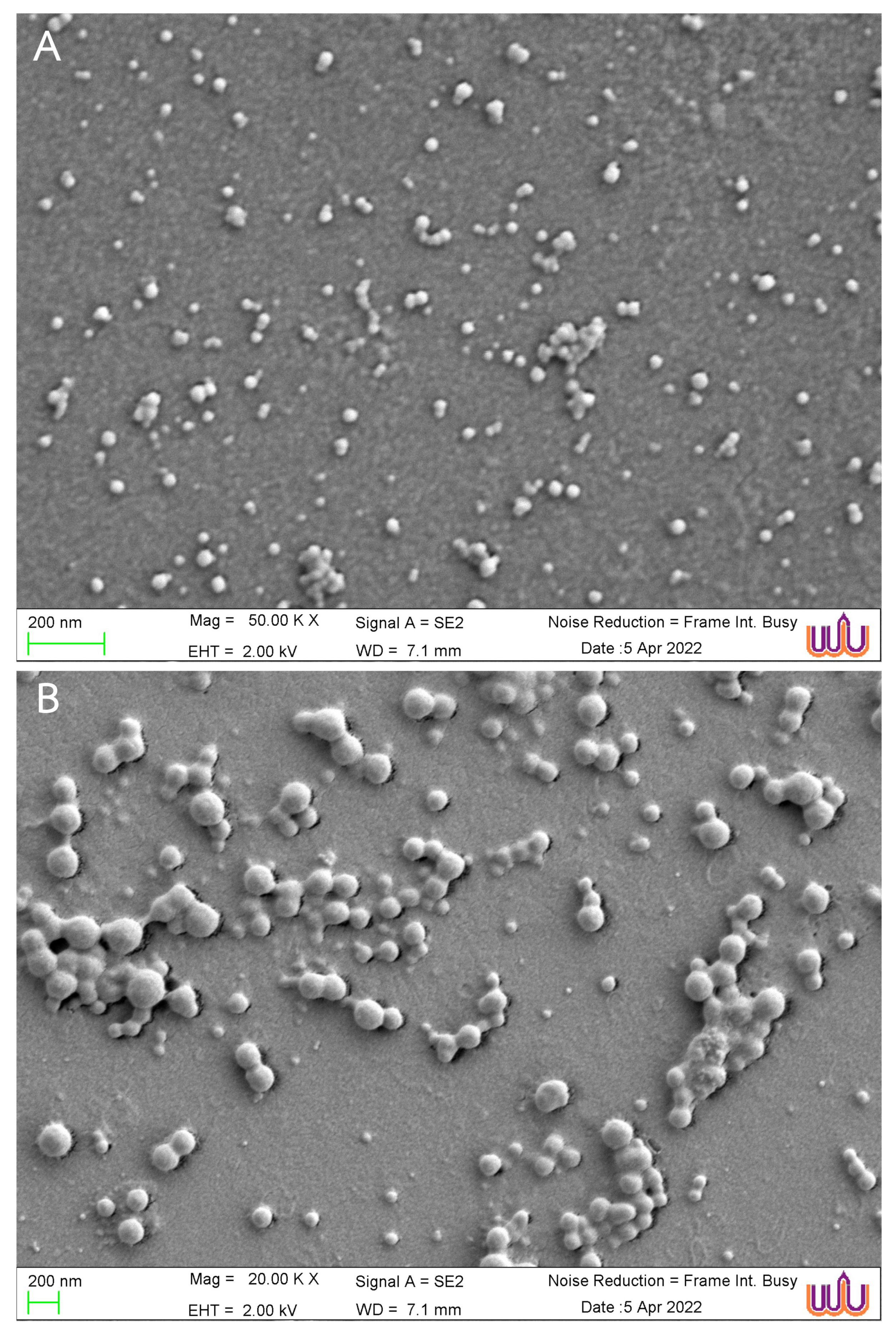 Antibiotics 13 00630 g001