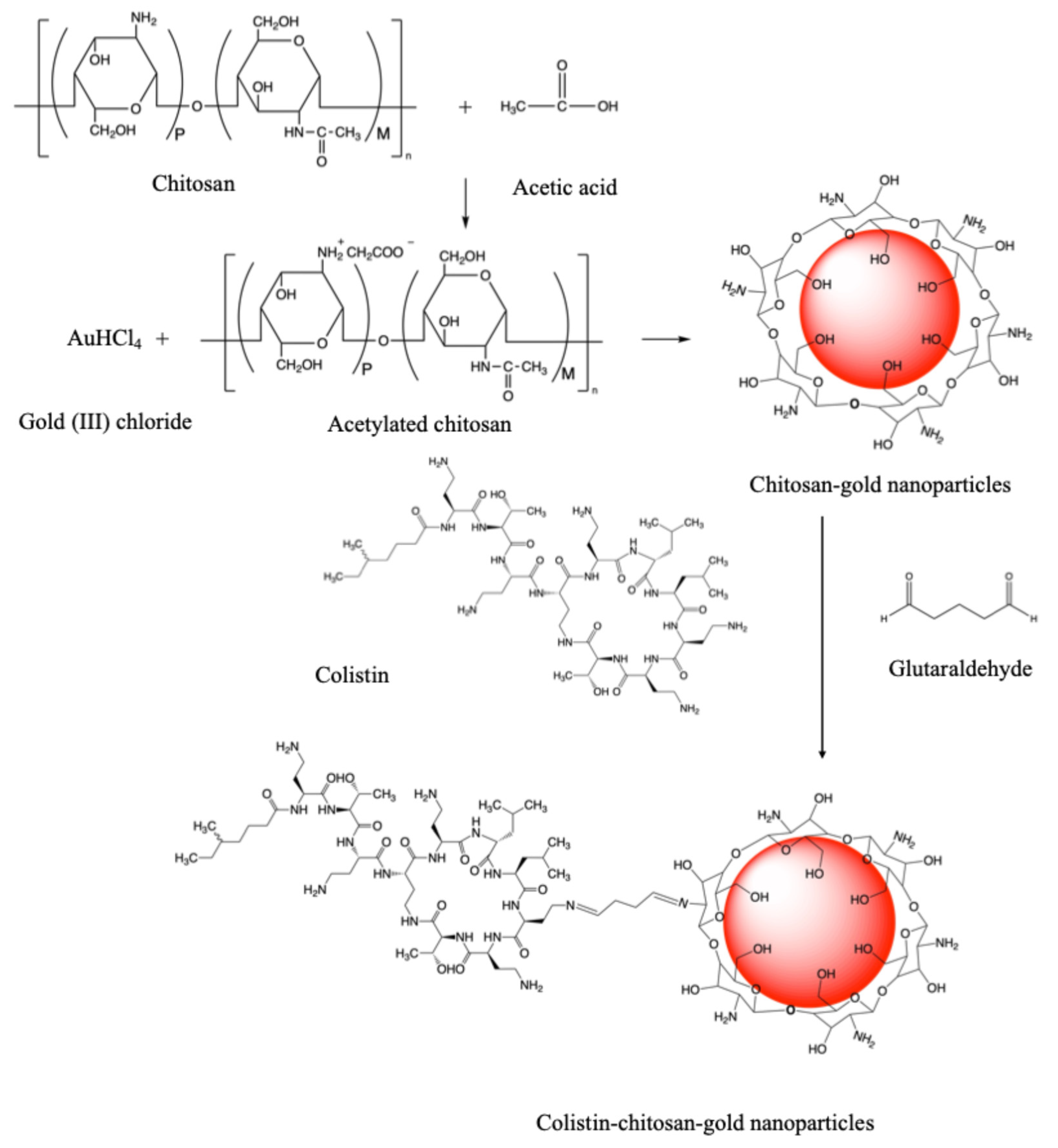 Antibiotics 13 00630 g002