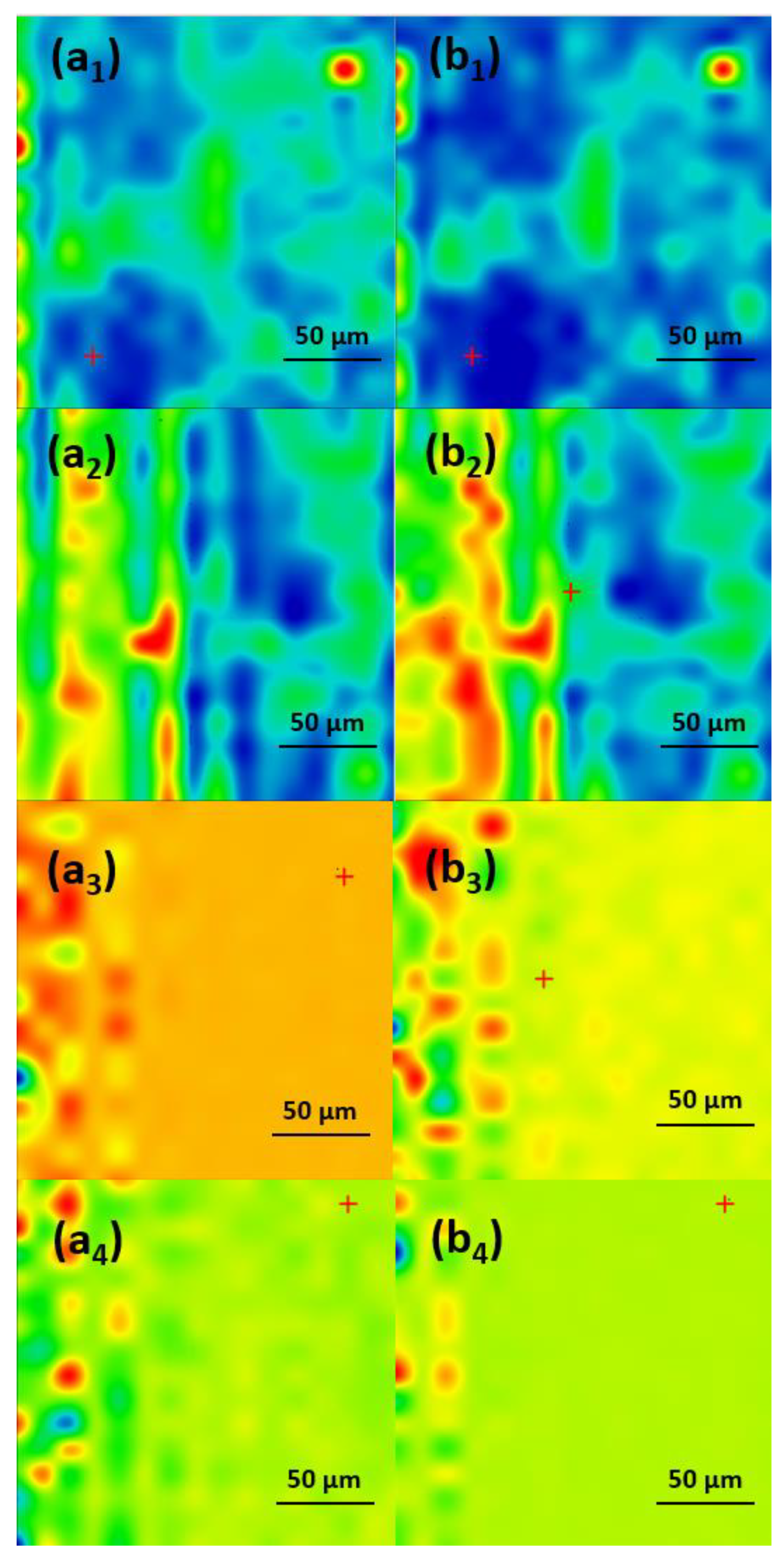 Antibiotics 13 00631 g007 Antibiotics 13 00631 g007