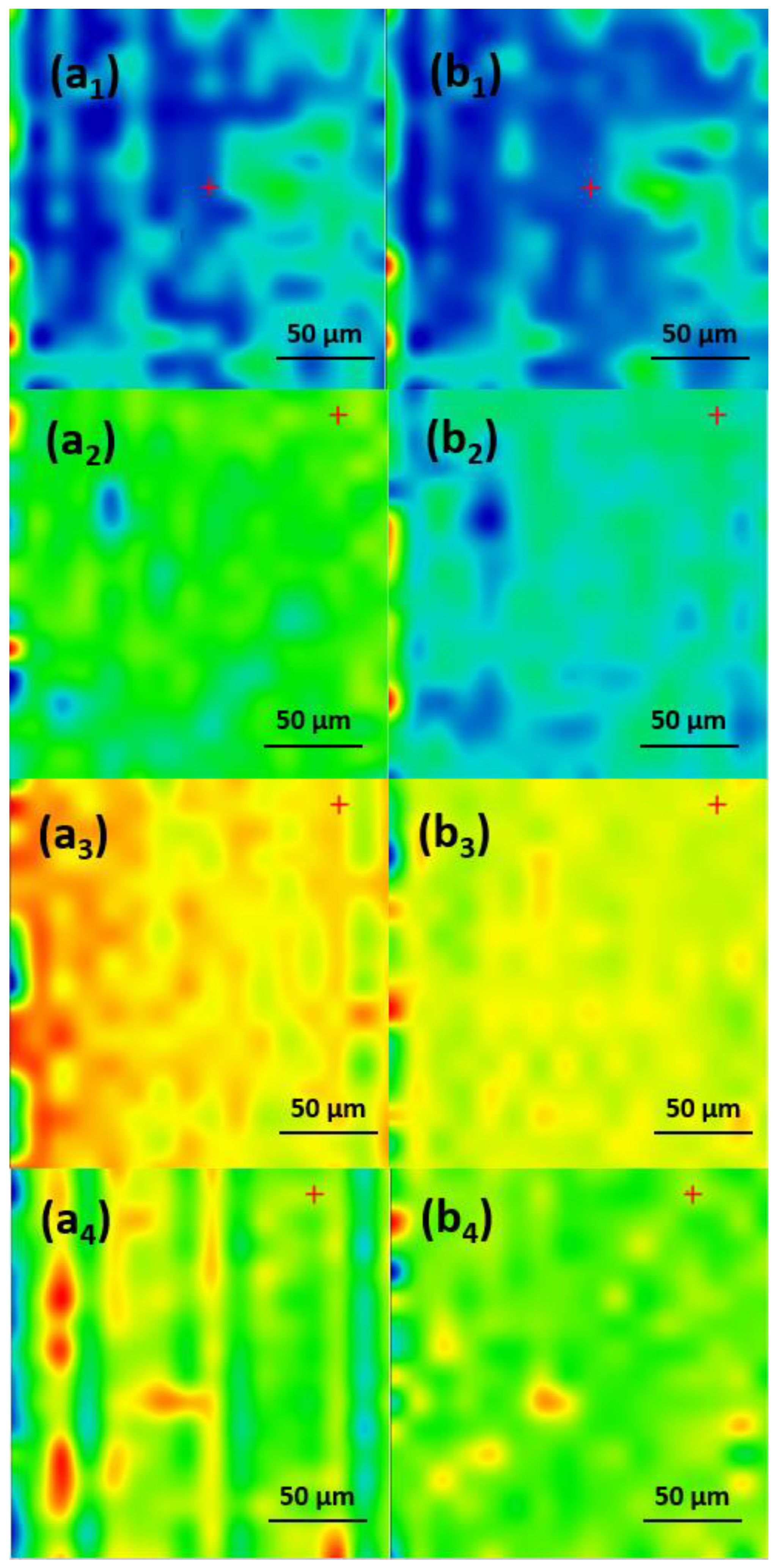 Antibiotics 13 00631 g009 Antibiotics 13 00631 g009