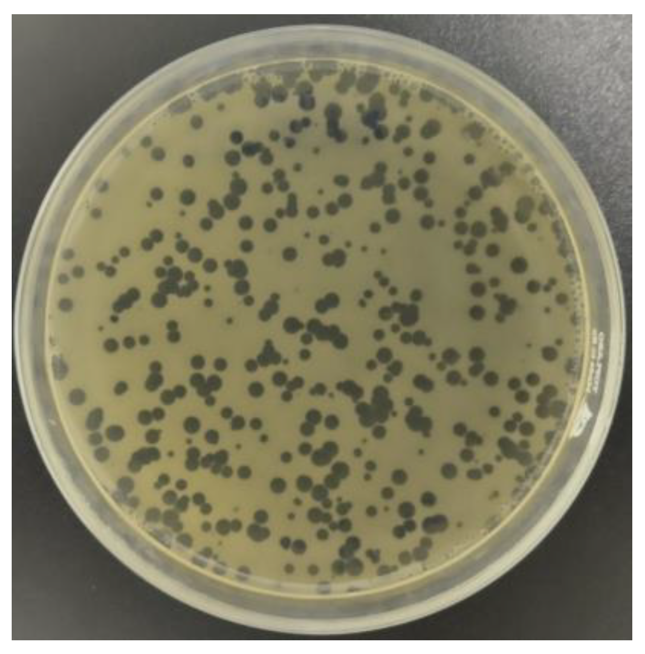 Antibiotics 13 00638 g001