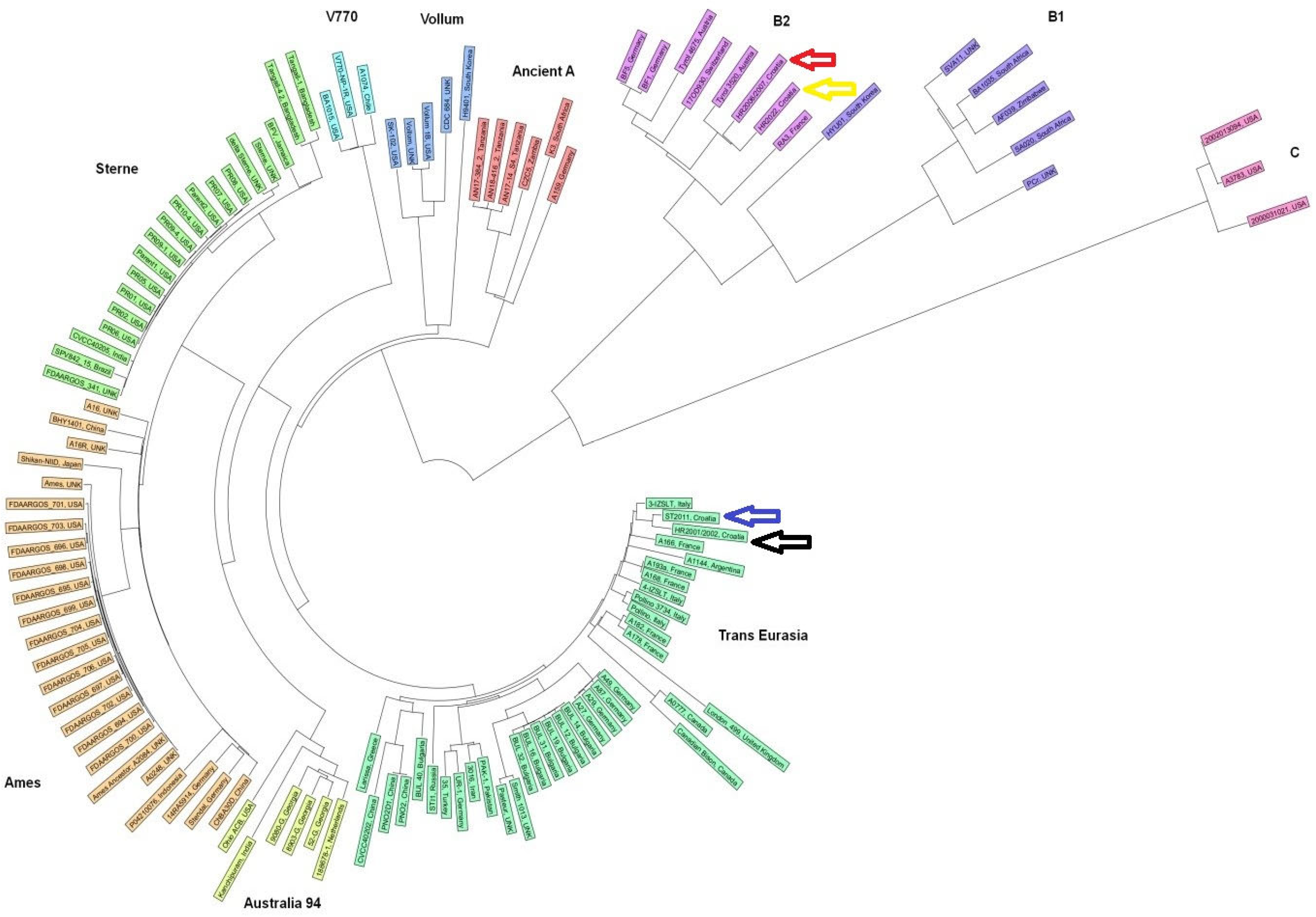 Antibiotics 13 00639 g001