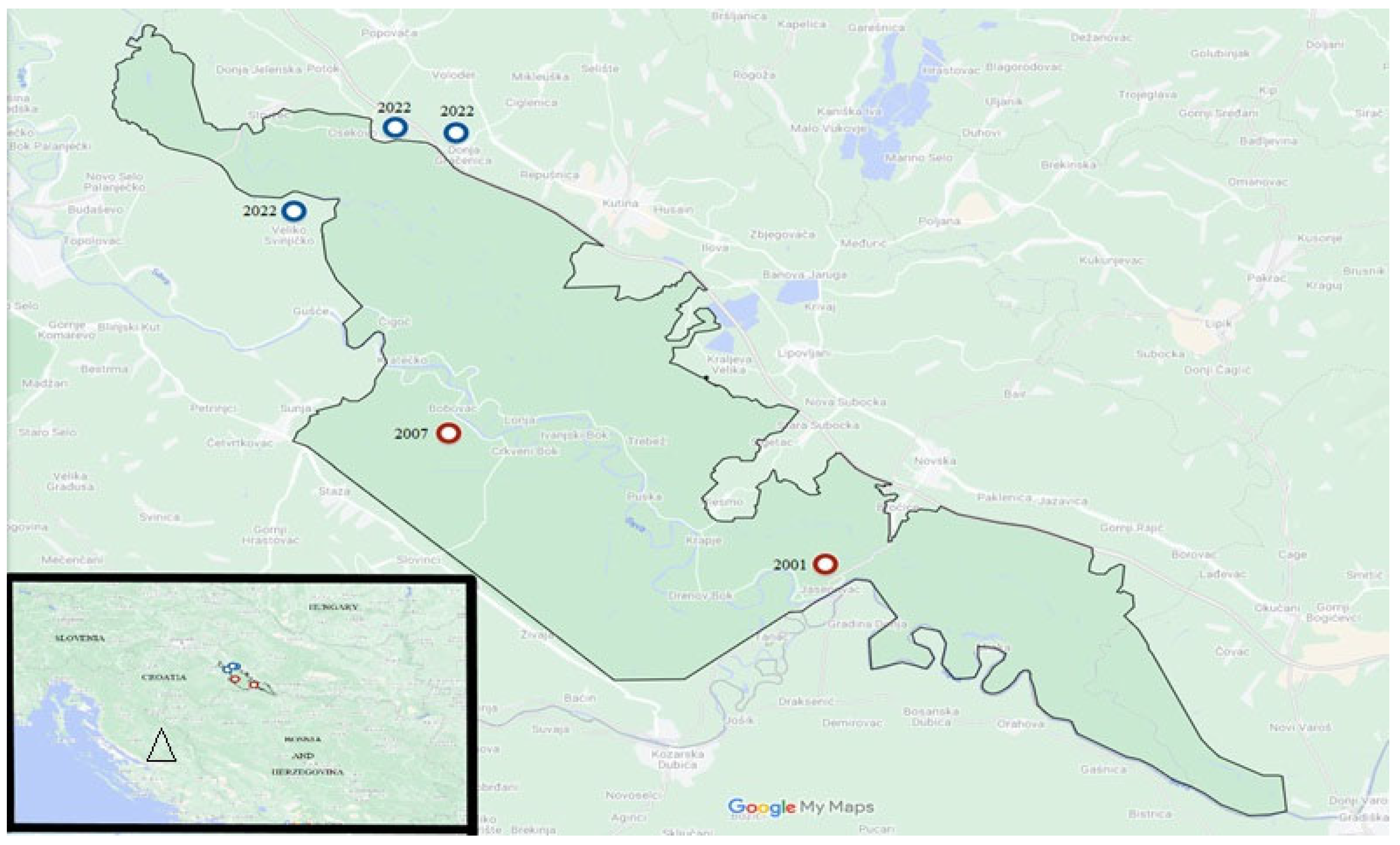 Antibiotics 13 00639 g002