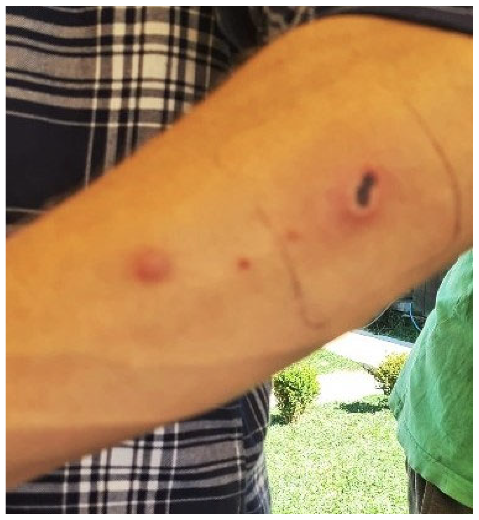 Antibiotics 13 00639 g004