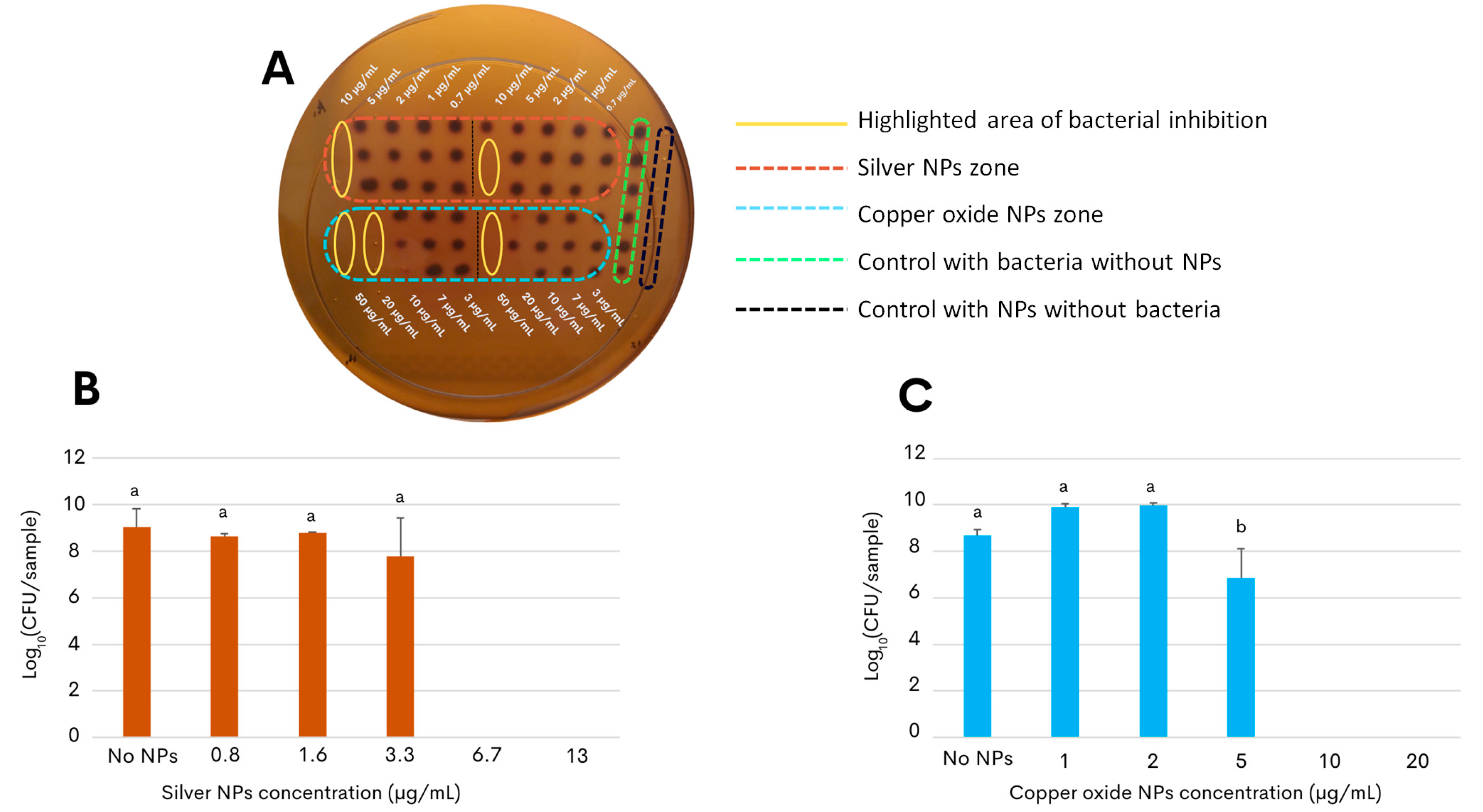Antibiotics 13 00650 g003